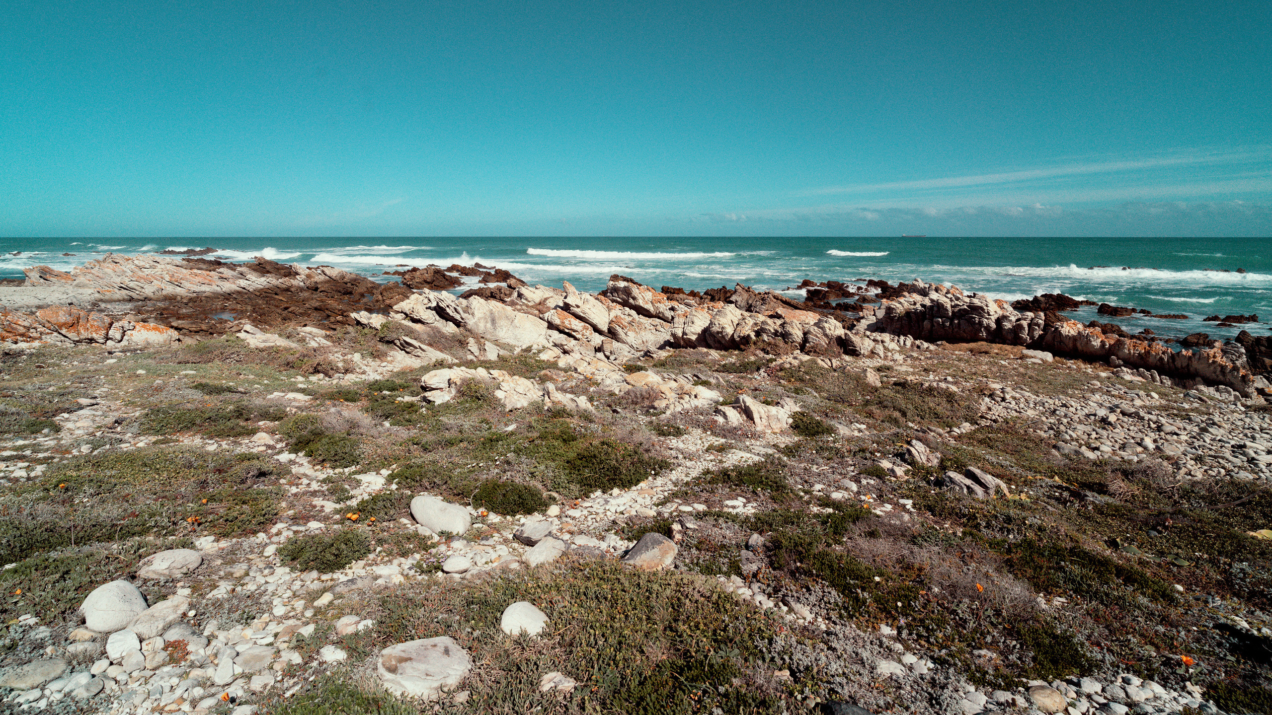 Южная Африка. Фотограф в Хабаровске. Фотография за 24 часа