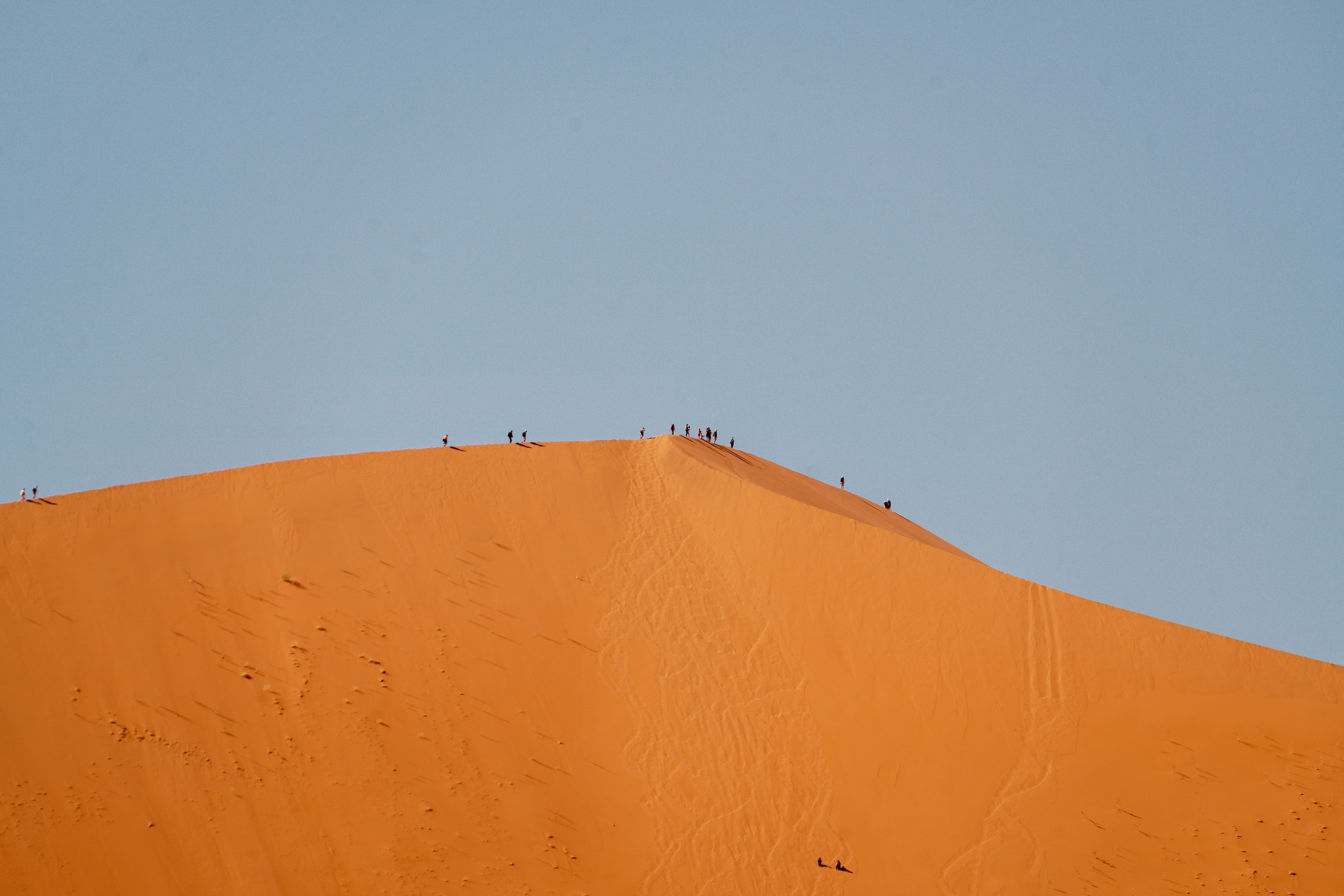 Южная Африка. Фотограф в Хабаровске. Фотография за 24 часа