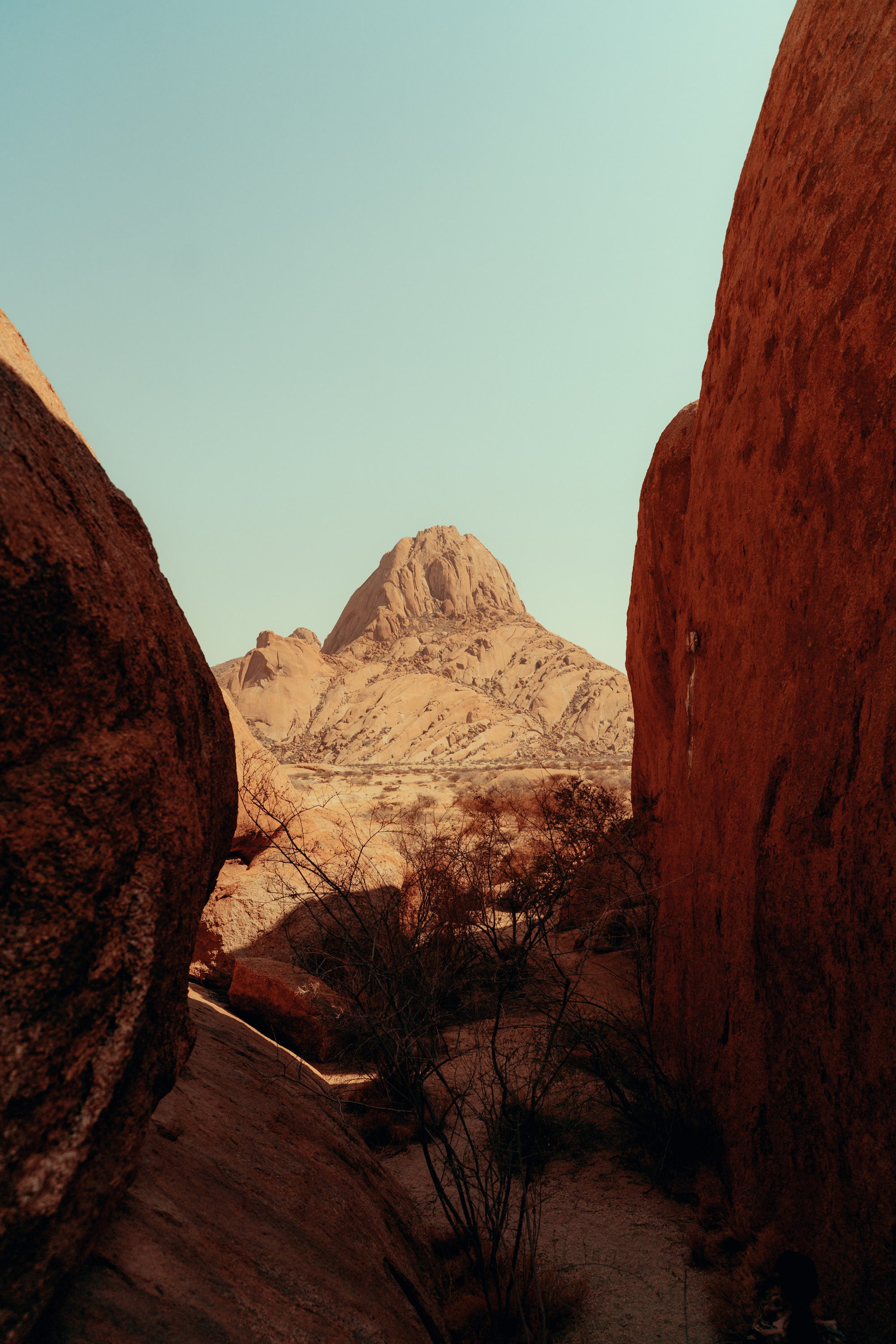 Южная Африка. Фотограф в Хабаровске. Фотография за 24 часа