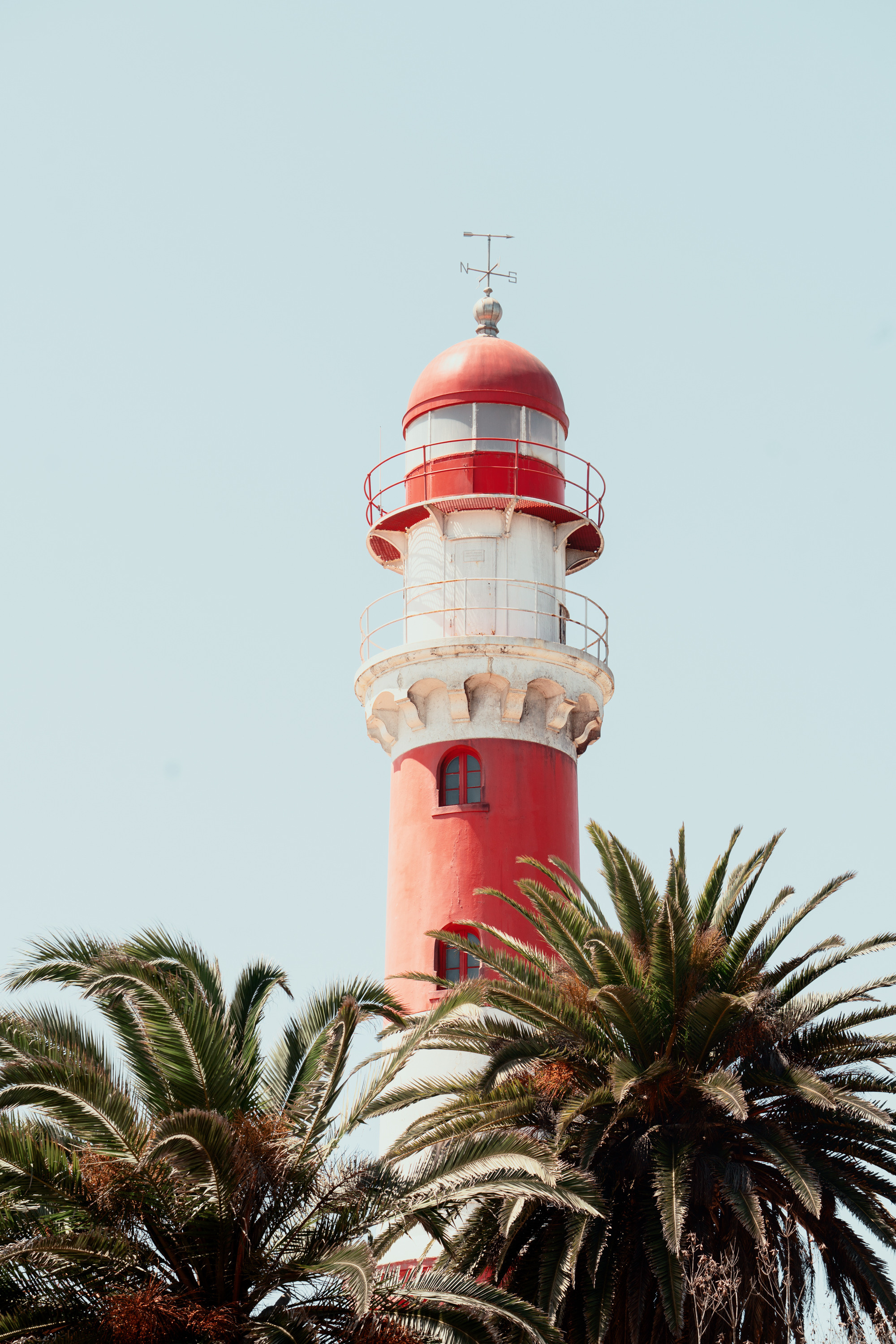 Южная Африка. Фотограф в Хабаровске. Фотография за 24 часа