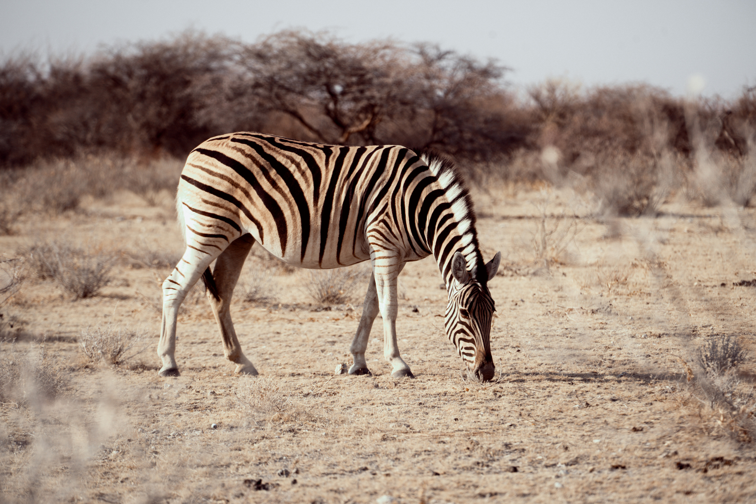 Путешествия. Фотограф в Хабаровске. Фотография за 24 часа