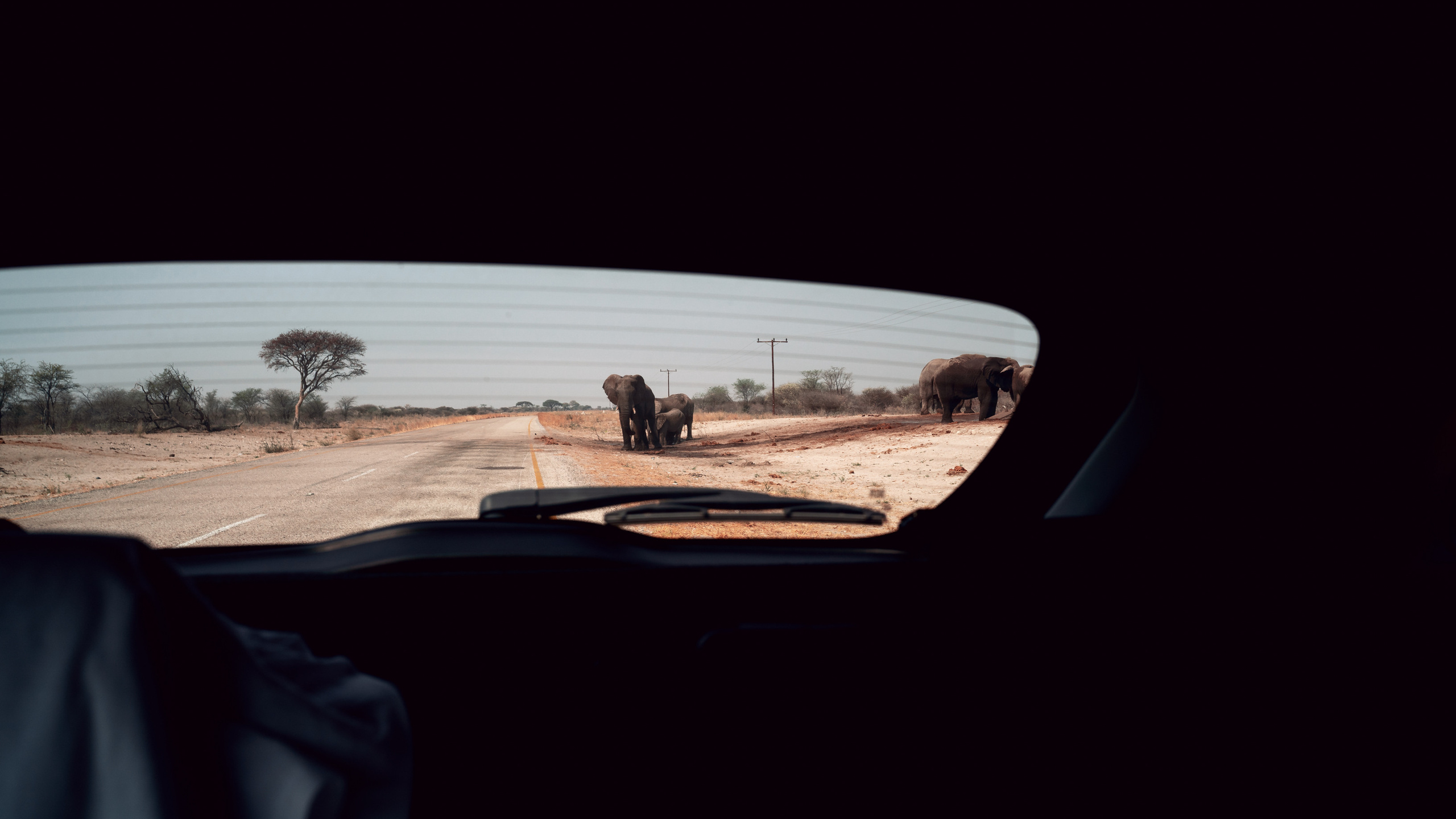 Южная Африка. Фотограф в Хабаровске. Фотография за 24 часа