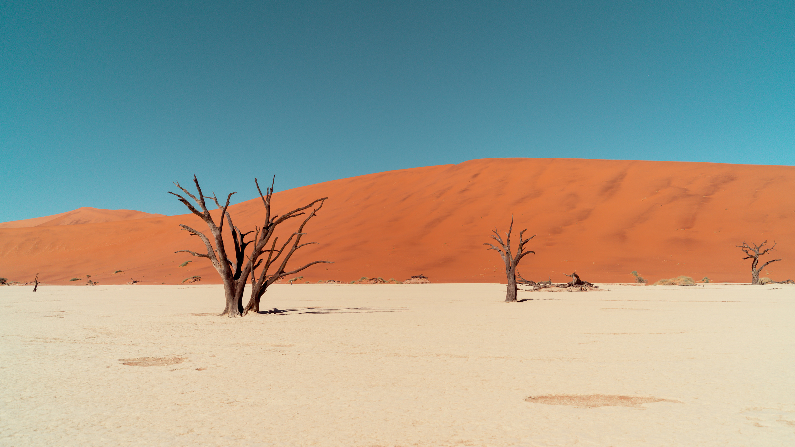 Южная Африка. Фотограф в Хабаровске. Фотография за 24 часа