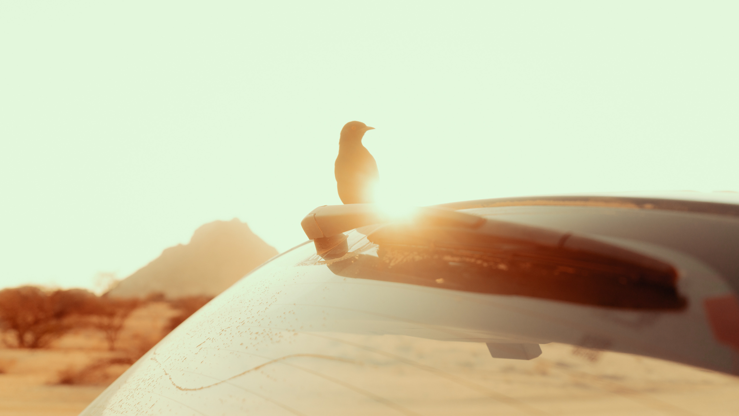 Путешествия. Фотограф в Хабаровске. Фотография за 24 часа