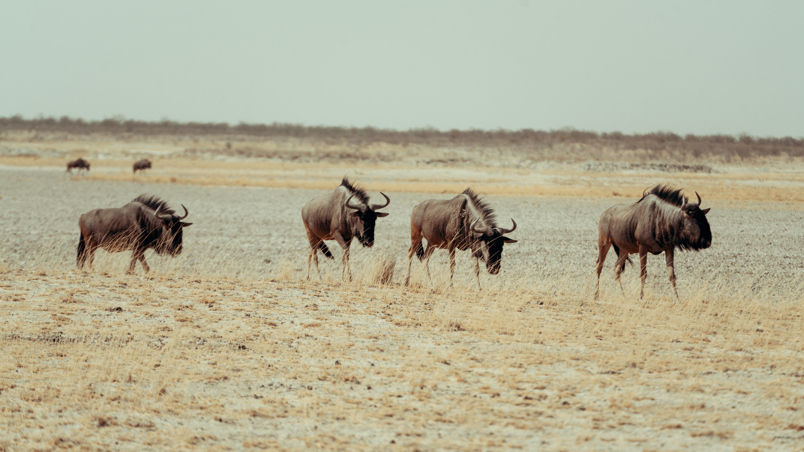 Путешествия. Фотограф в Хабаровске. Фотография за 24 часа