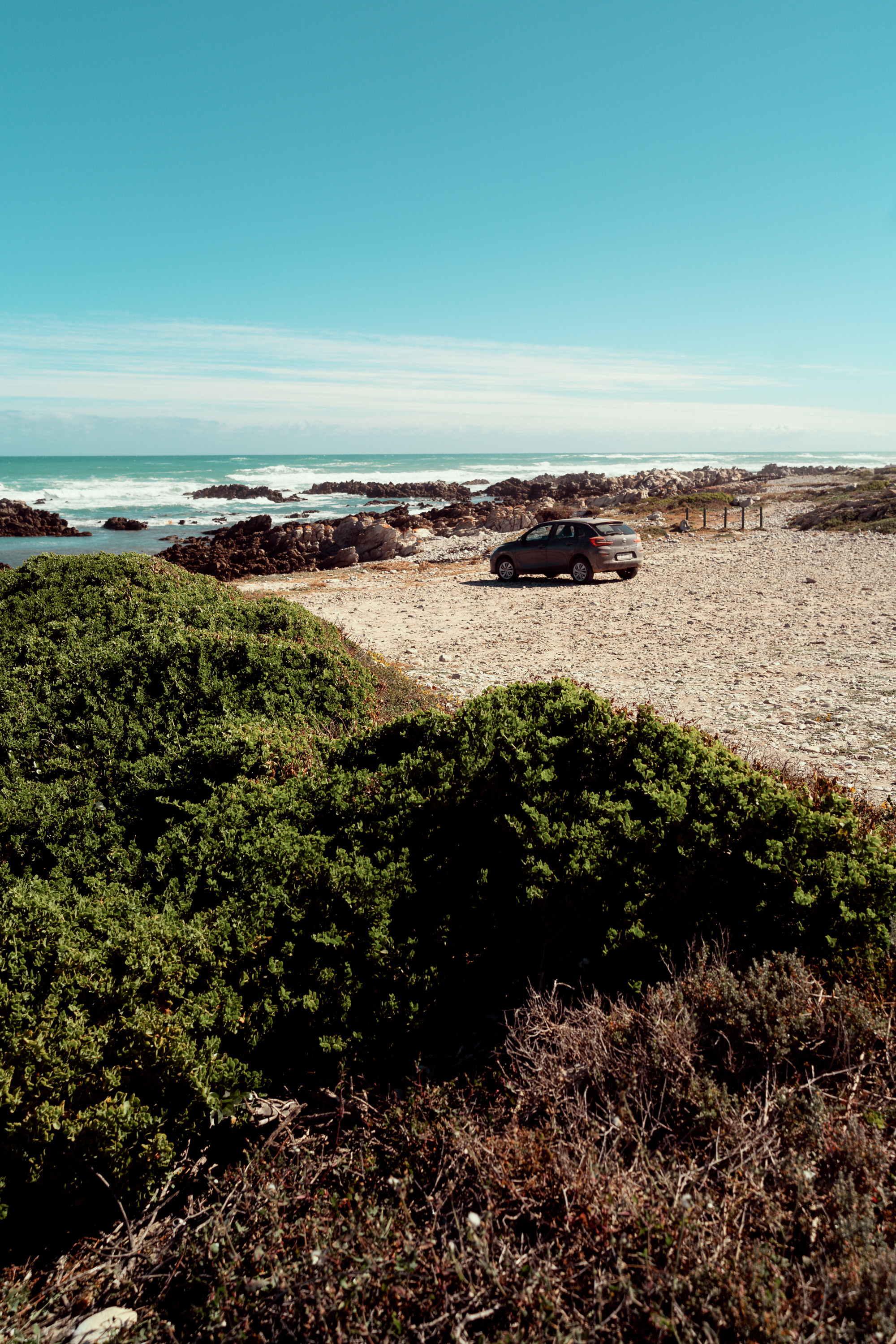 Южная Африка. Фотограф в Хабаровске. Фотография за 24 часа