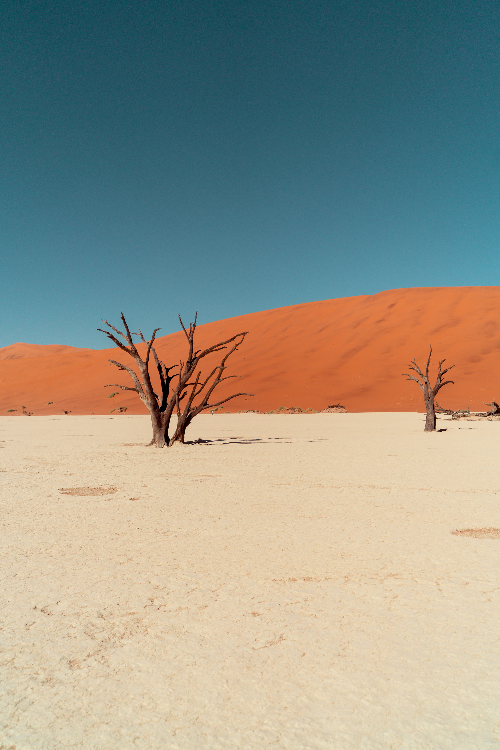 Южная Африка. Фотограф в Хабаровске. Фотография за 24 часа