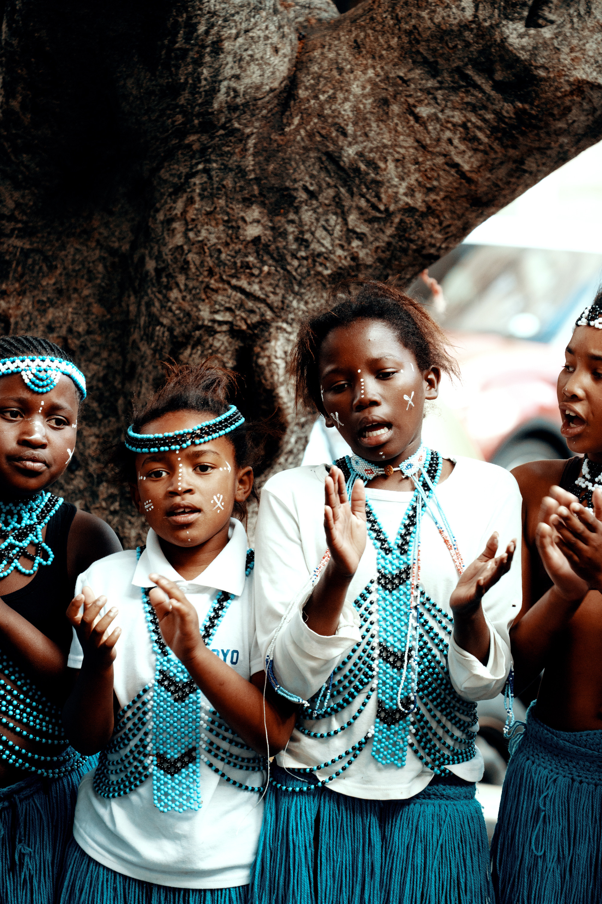 Южная Африка. Фотограф в Хабаровске. Фотография за 24 часа