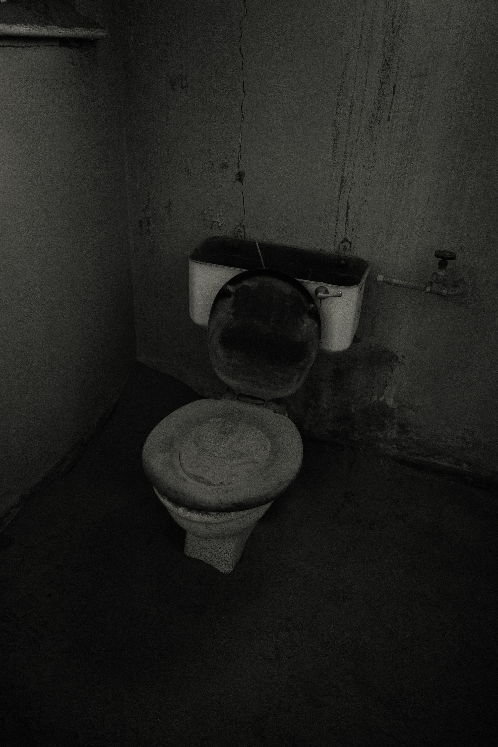 Южная Африка. Фотограф в Хабаровске. Фотография за 24 часа