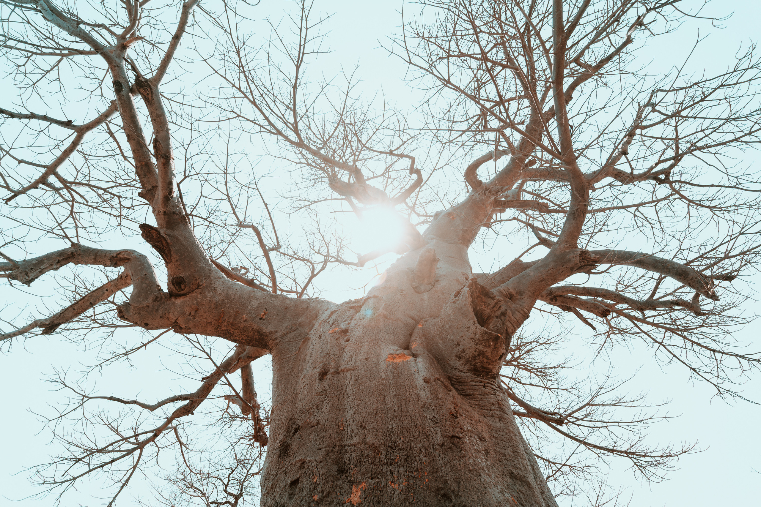 Южная Африка. Фотограф в Хабаровске. Фотография за 24 часа