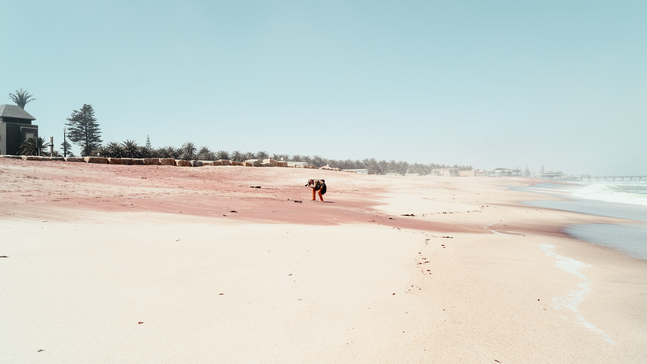 Южная Африка. Фотограф в Хабаровске. Фотография за 24 часа