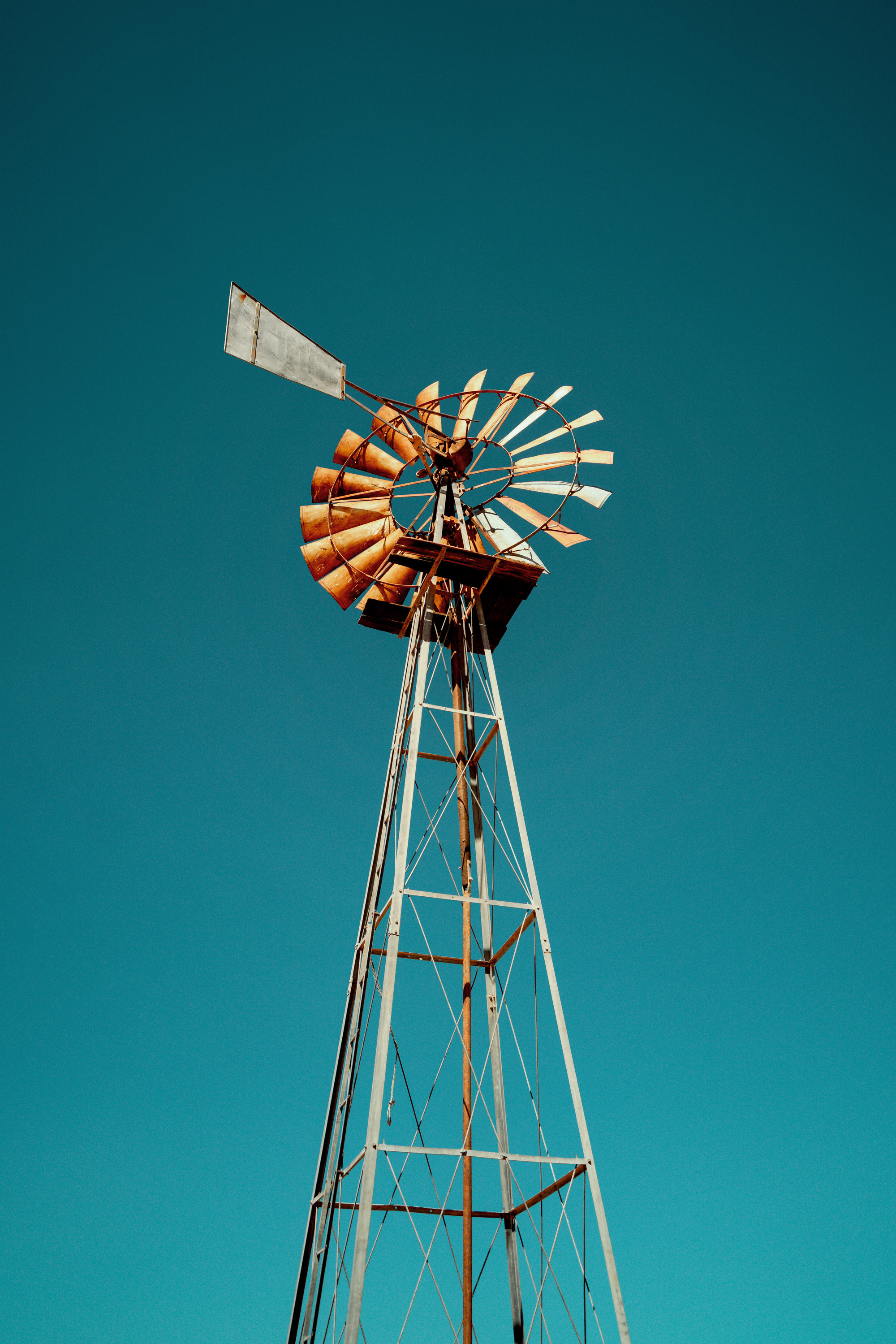 Южная Африка. Фотограф в Хабаровске. Фотография за 24 часа