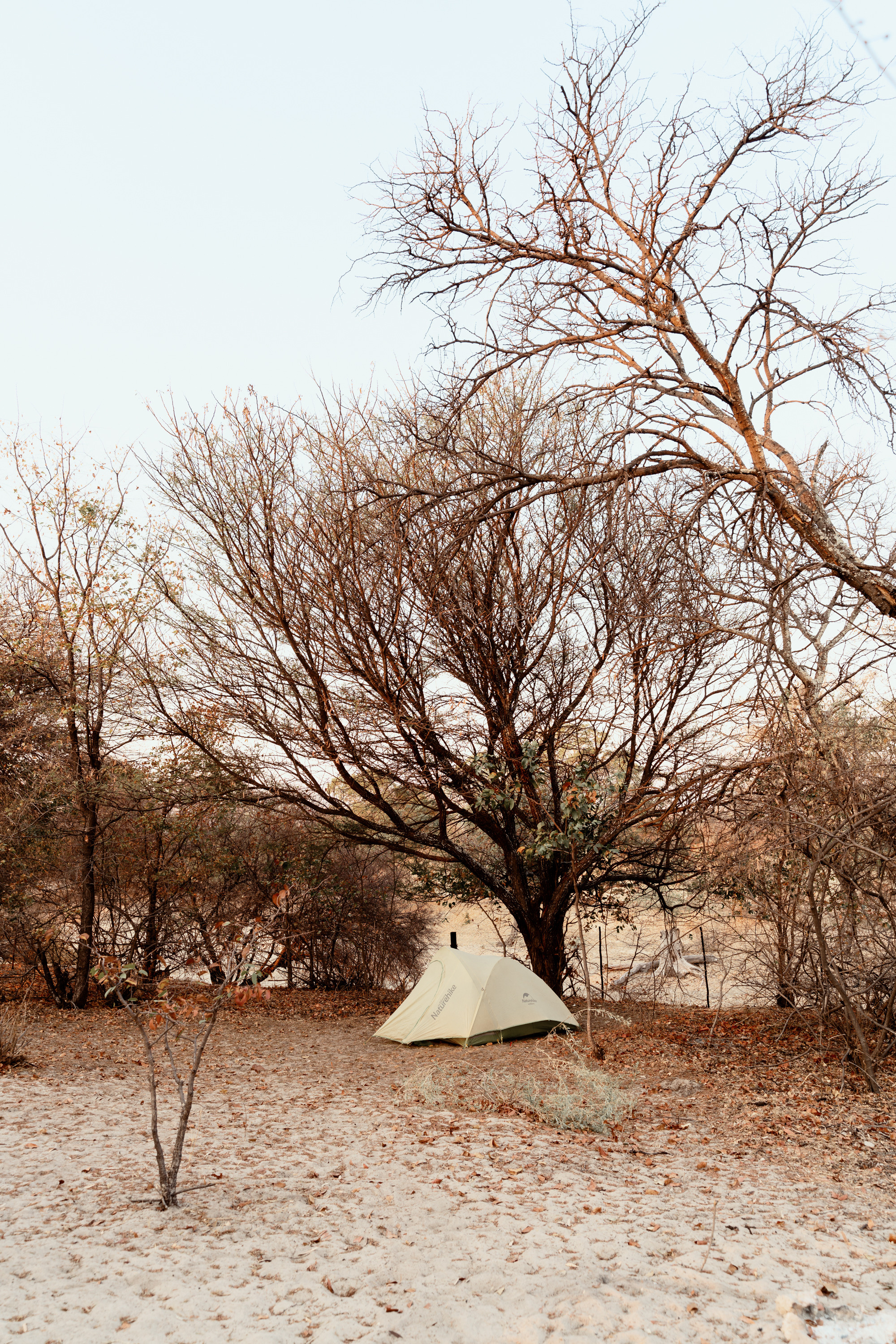 Южная Африка. Фотограф в Хабаровске. Фотография за 24 часа