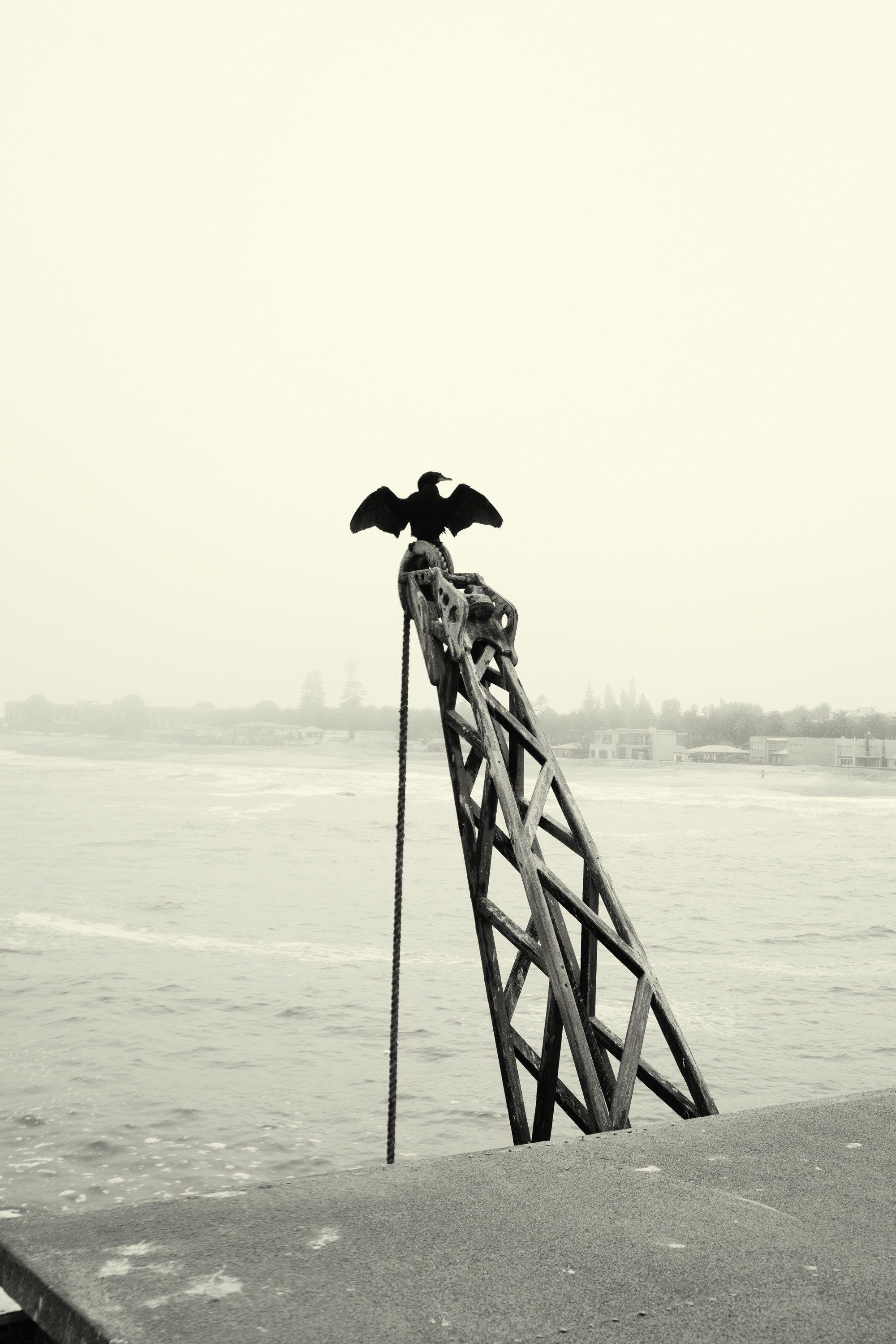 Южная Африка. Фотограф в Хабаровске. Фотография за 24 часа