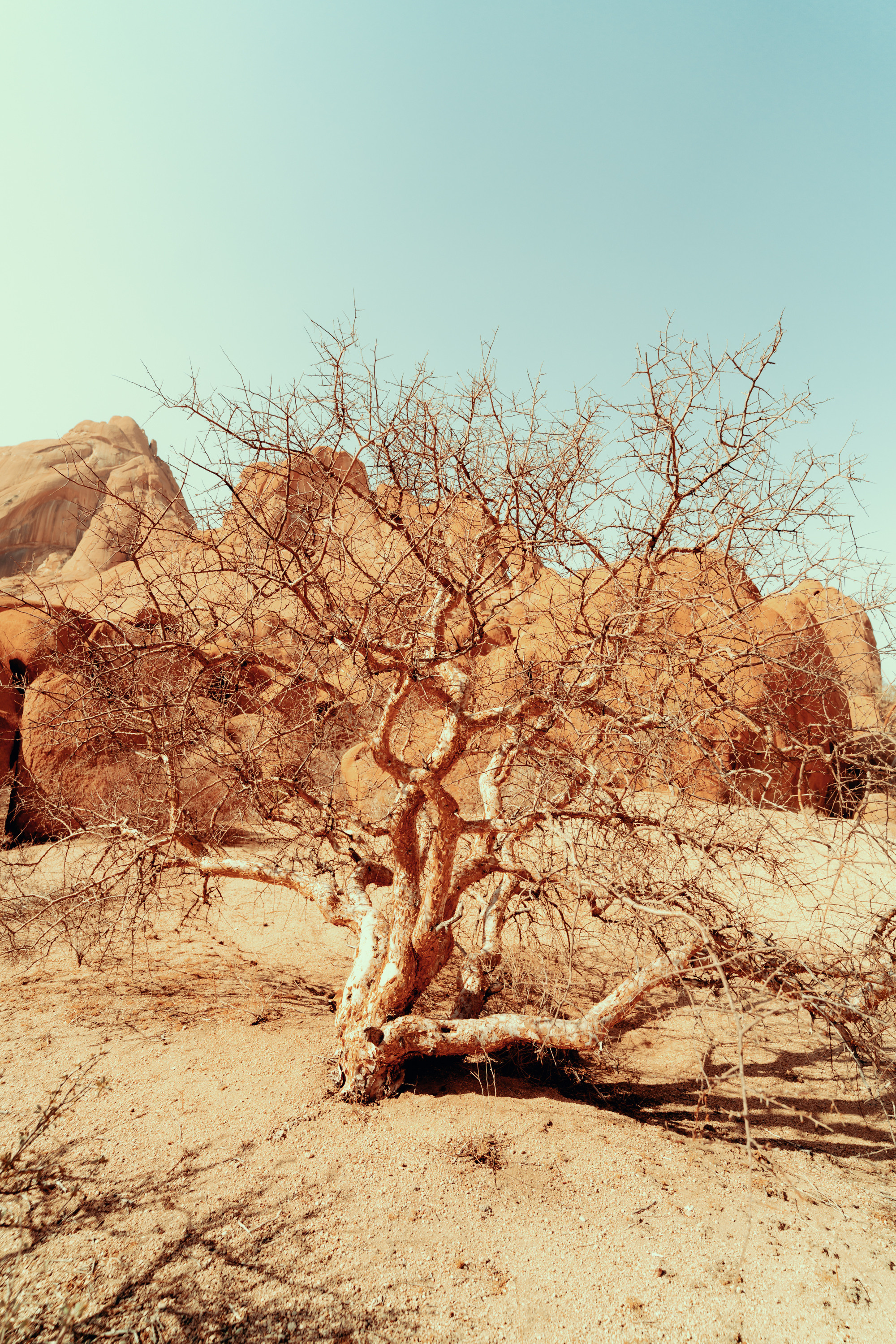 Южная Африка. Фотограф в Хабаровске. Фотография за 24 часа