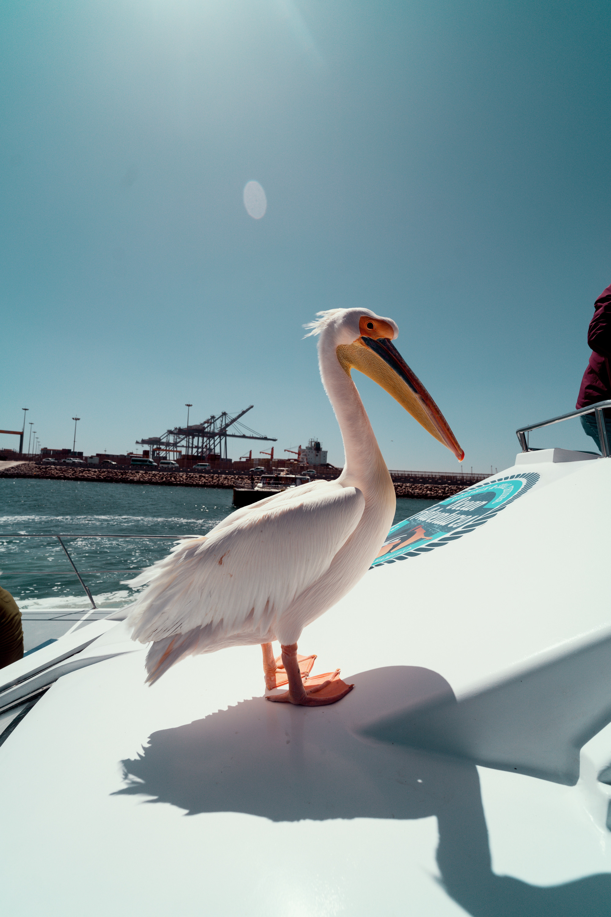 Путешествия. Фотограф в Хабаровске. Фотография за 24 часа