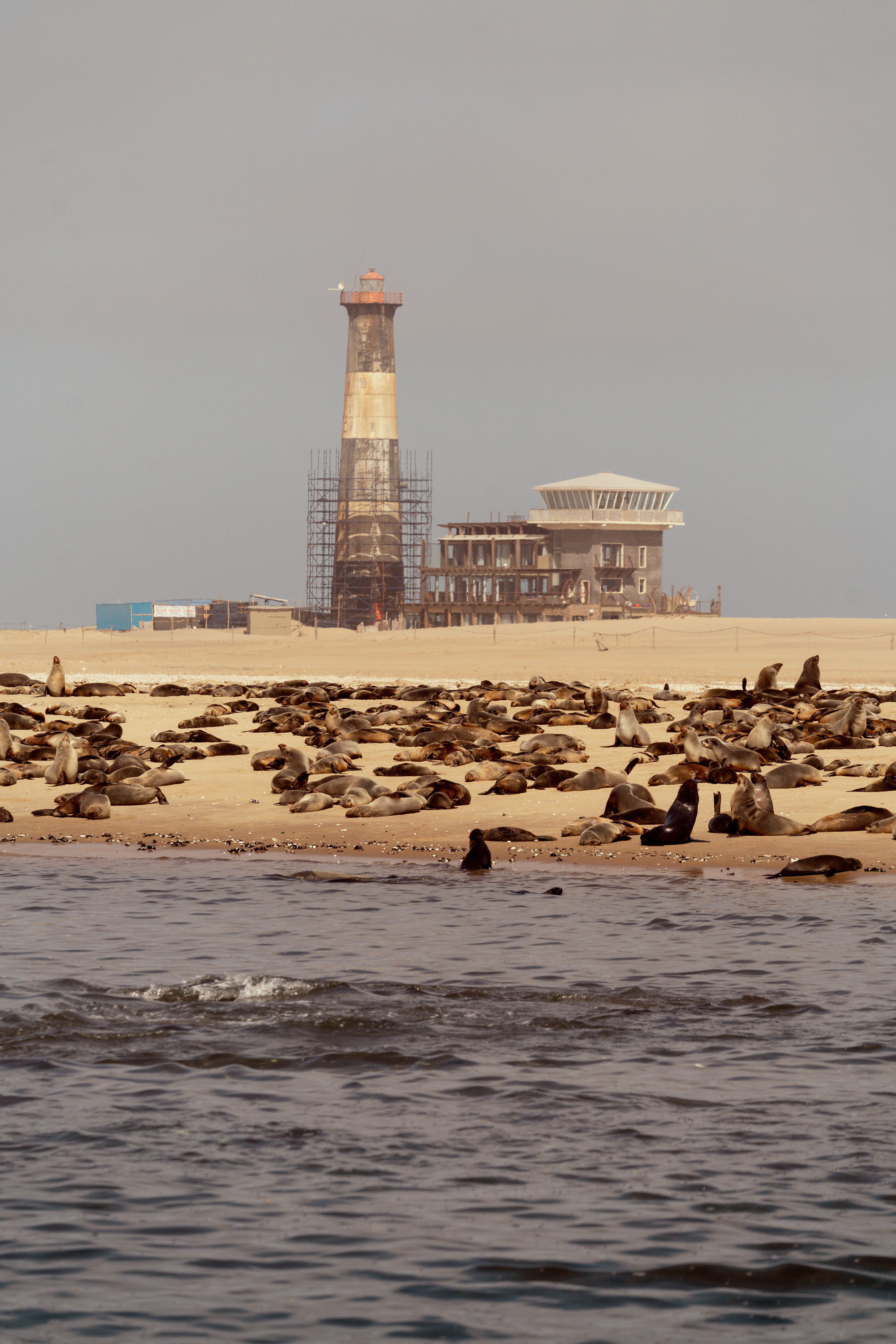 Южная Африка. Фотограф в Хабаровске. Фотография за 24 часа