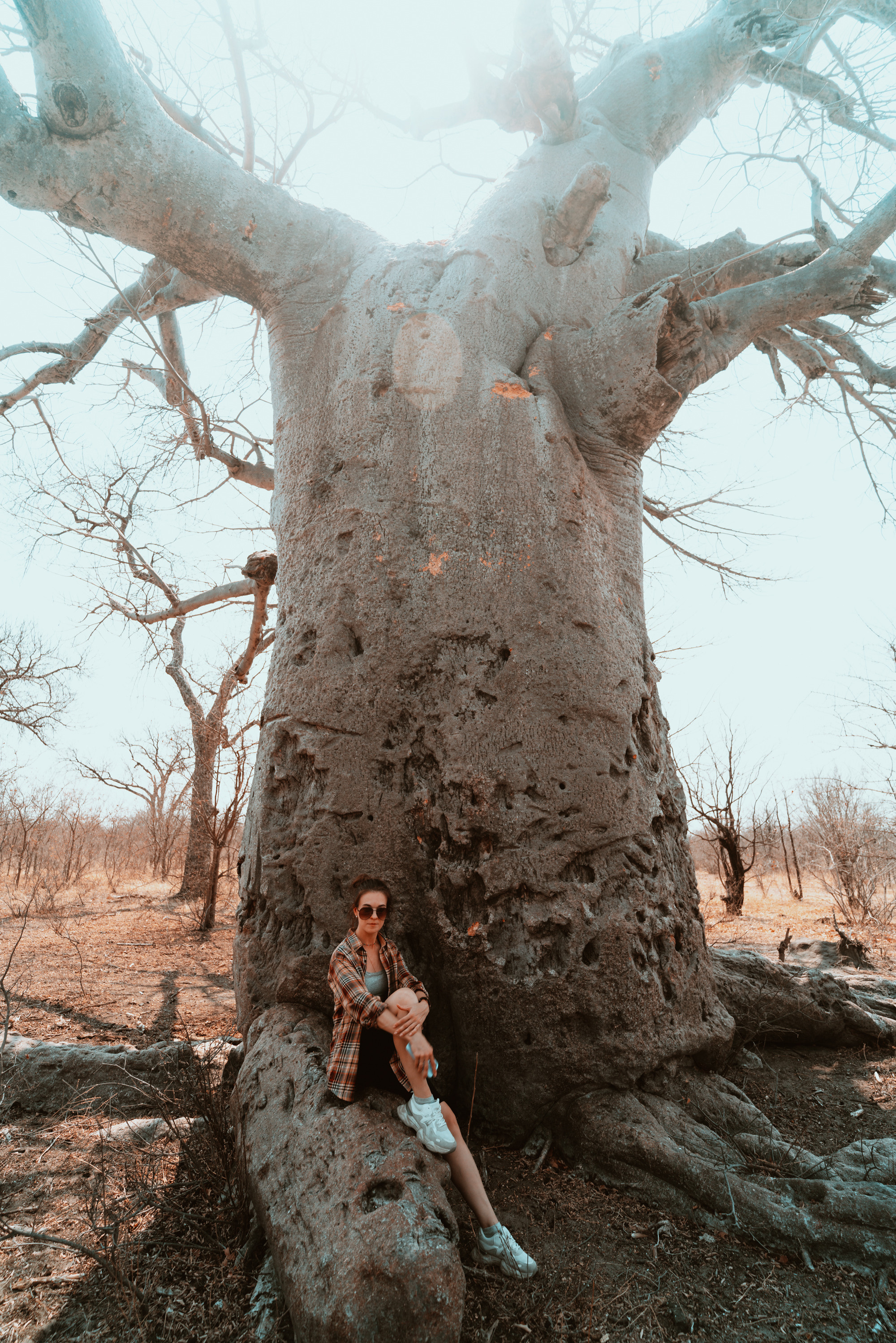 Южная Африка. Фотограф в Хабаровске. Фотография за 24 часа