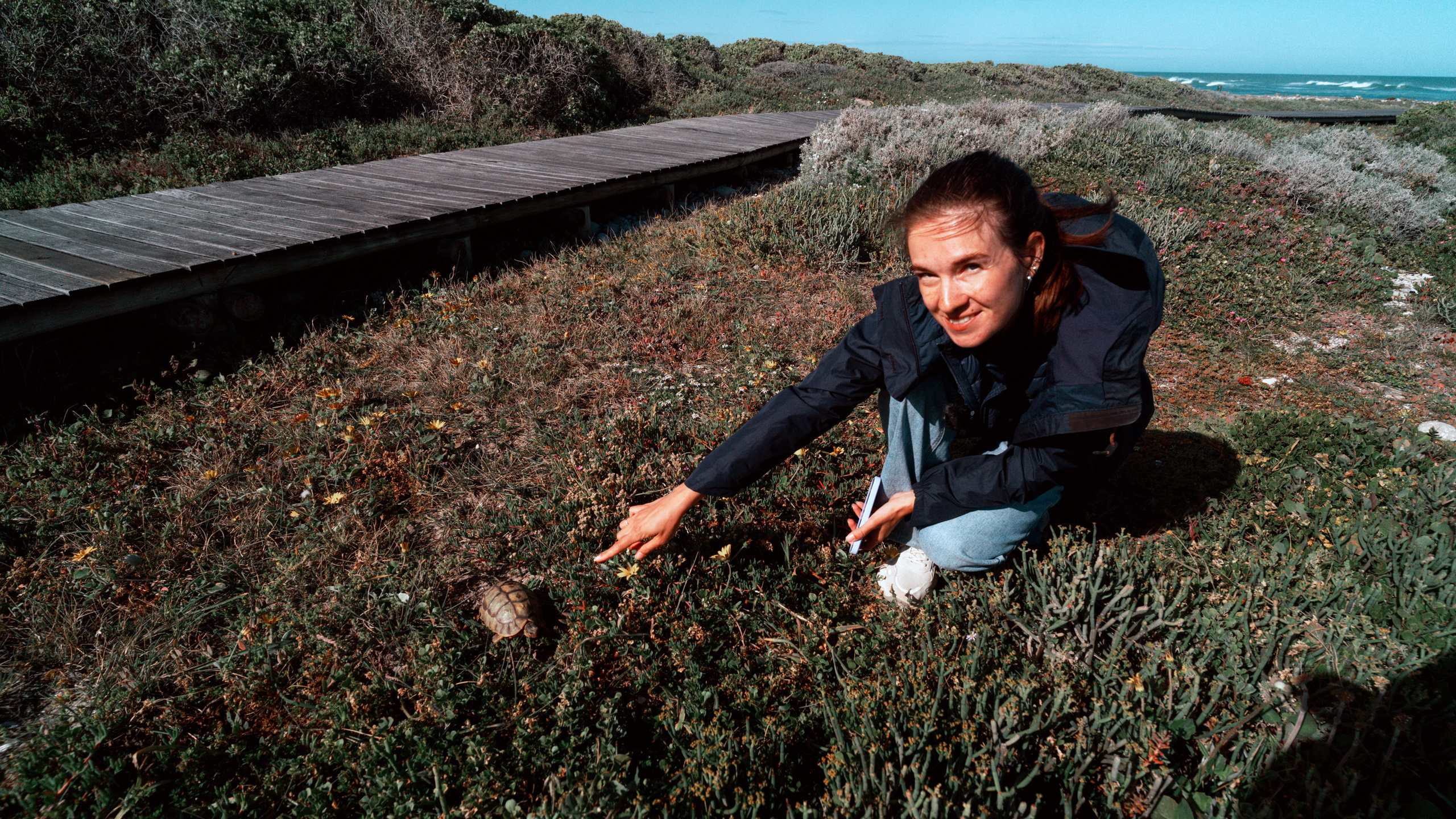 Южная Африка. Фотограф в Хабаровске. Фотография за 24 часа