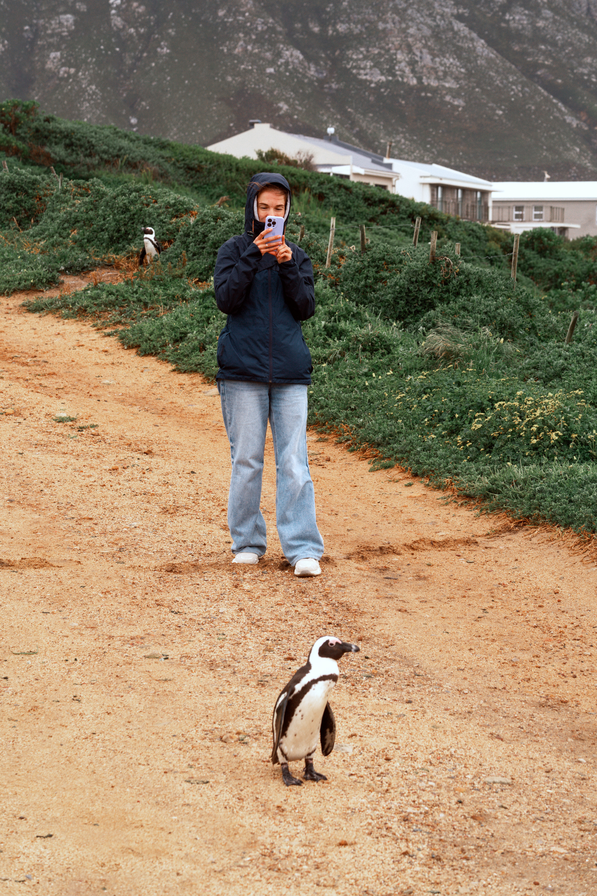 Южная Африка. Фотограф в Хабаровске. Фотография за 24 часа