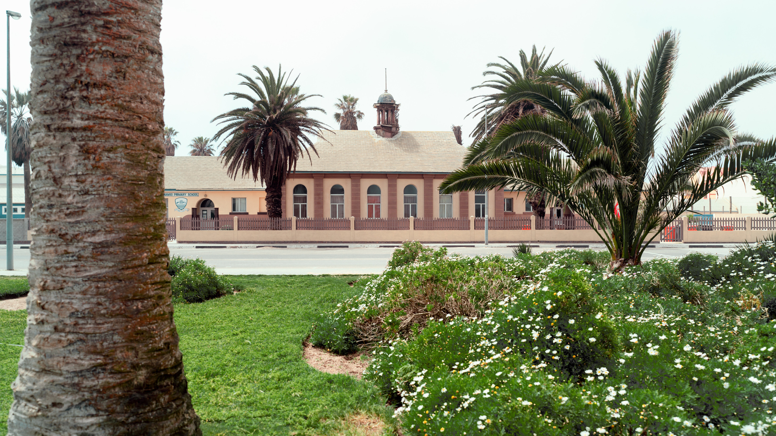 Южная Африка. Фотограф в Хабаровске. Фотография за 24 часа