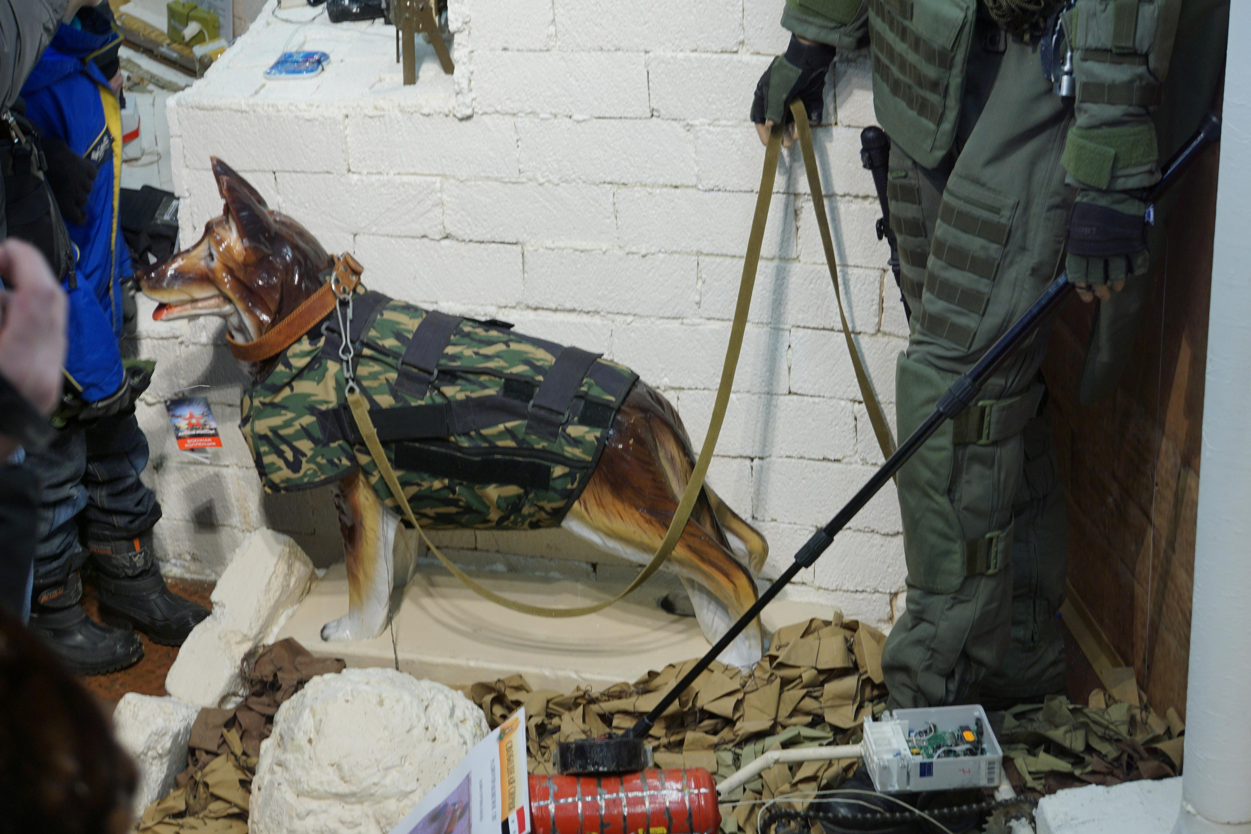 Сирийский перелом (Репортаж). Фотограф в Туле Крупский АнДРей. Фотостудия «КАДР71» в Туле