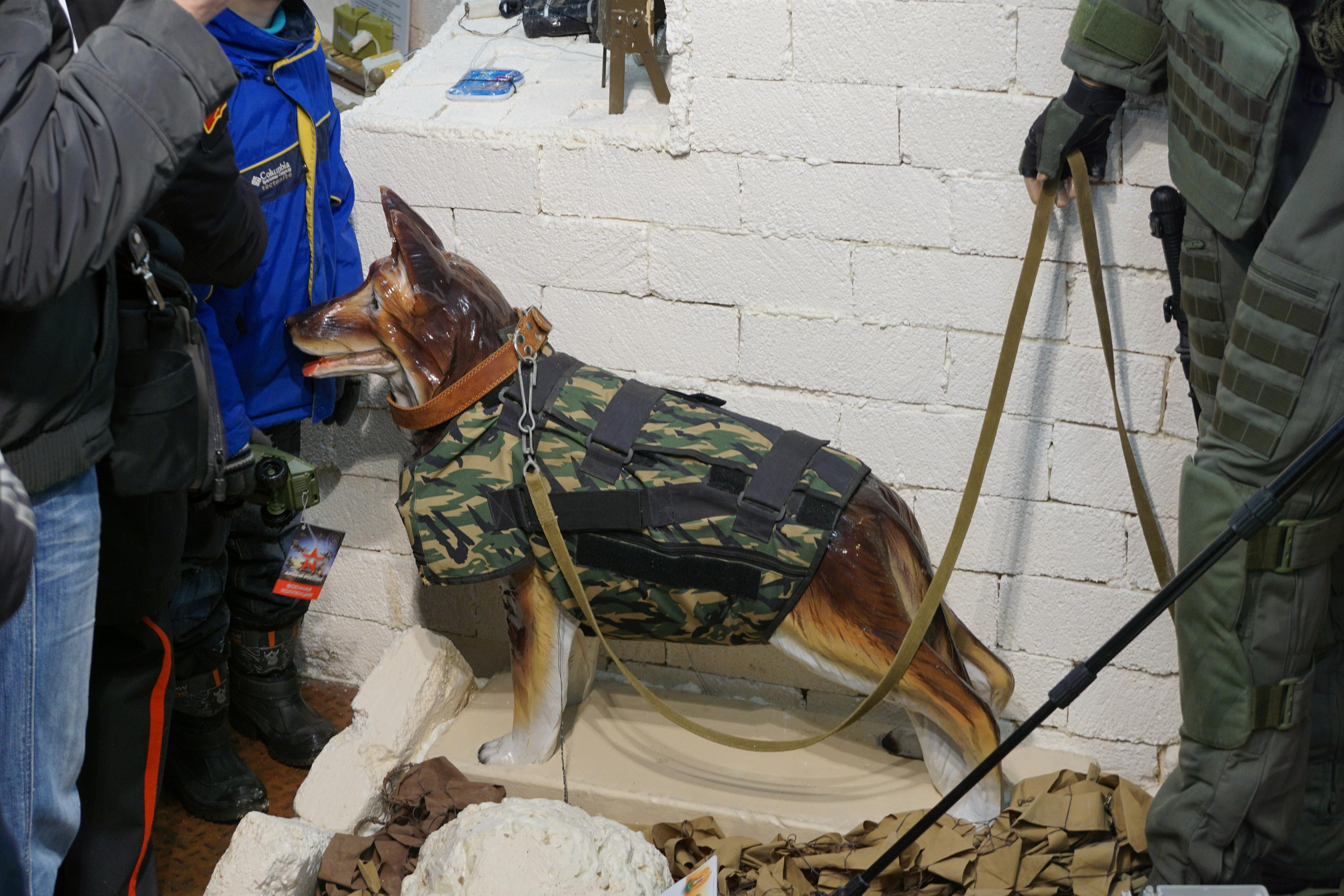 Сирийский перелом (Репортаж). Фотограф в Туле Крупский АнДРей. Фотостудия «КАДР71» в Туле