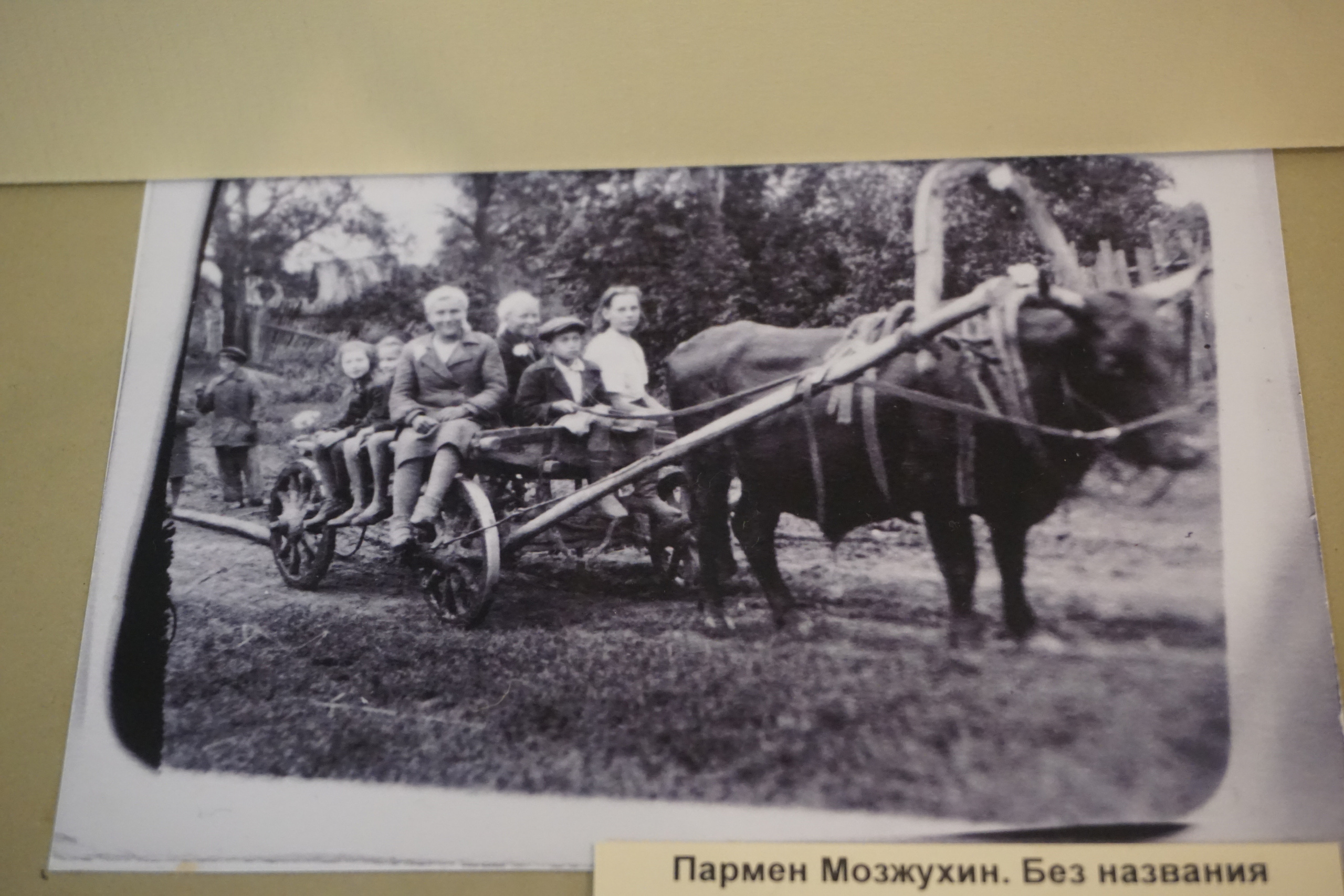 Вдохновения для коллекционера и фотографа — музей фотографии в Н.Новгороде. Фотограф в Туле Крупский АнДРей. Фотостудия «КАДР71» в Туле
