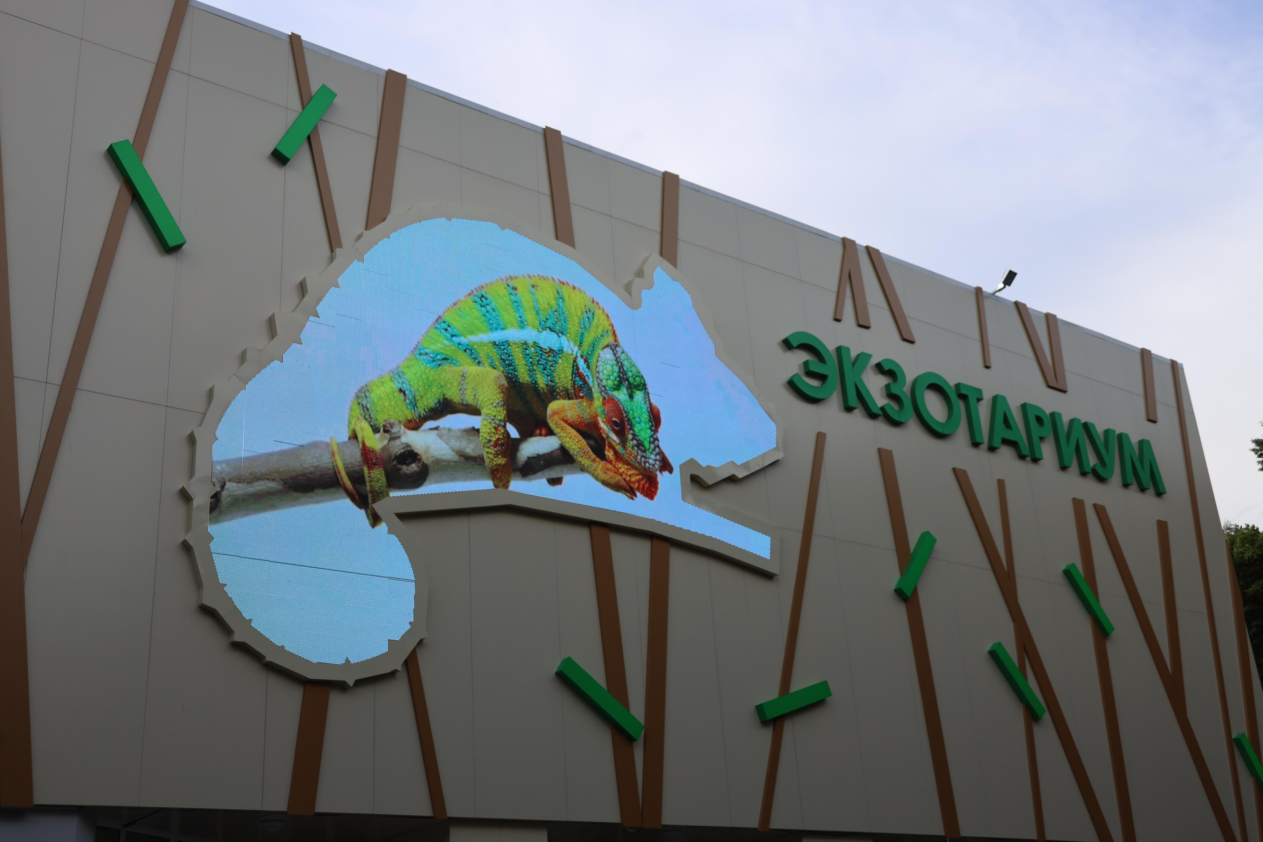 30.07.2020 Прогулка в парке Белоусова 9 класс (без обработки). Фотограф в Туле Крупский АнДРей. Фотостудия «КАДР71» в Туле