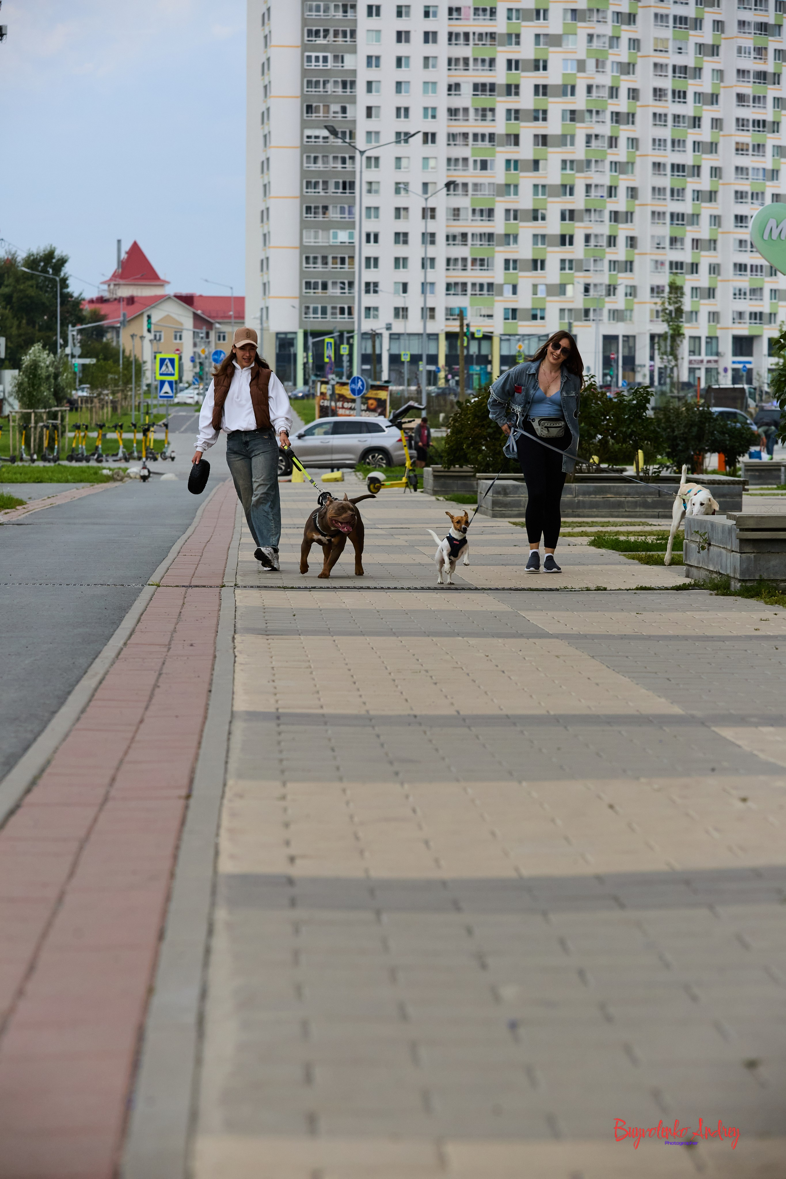 Проект фотопрогулка с хвостиком. Buyvolenko Andrey