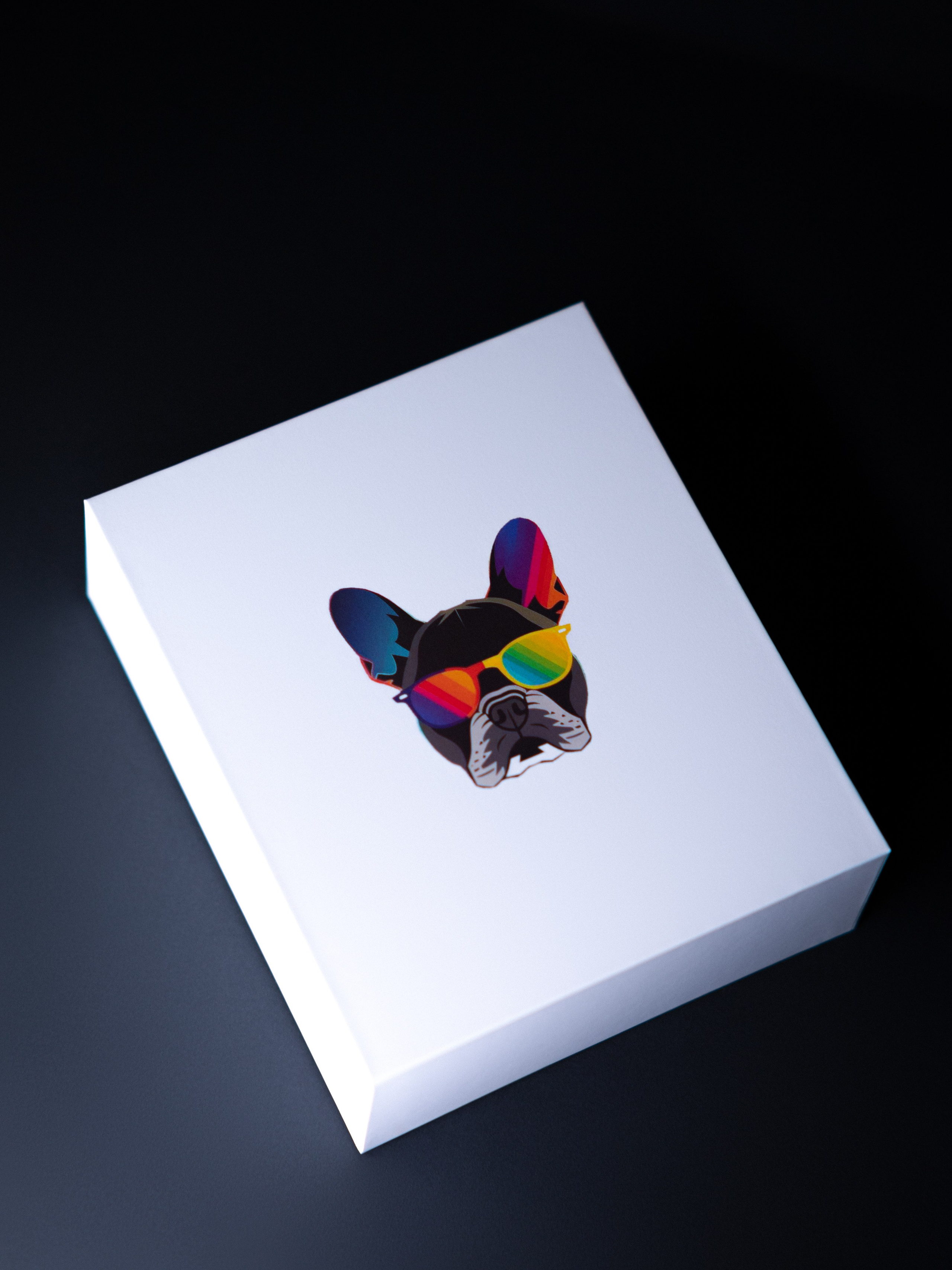 Мини принтер. Александр Атлес Фотограф