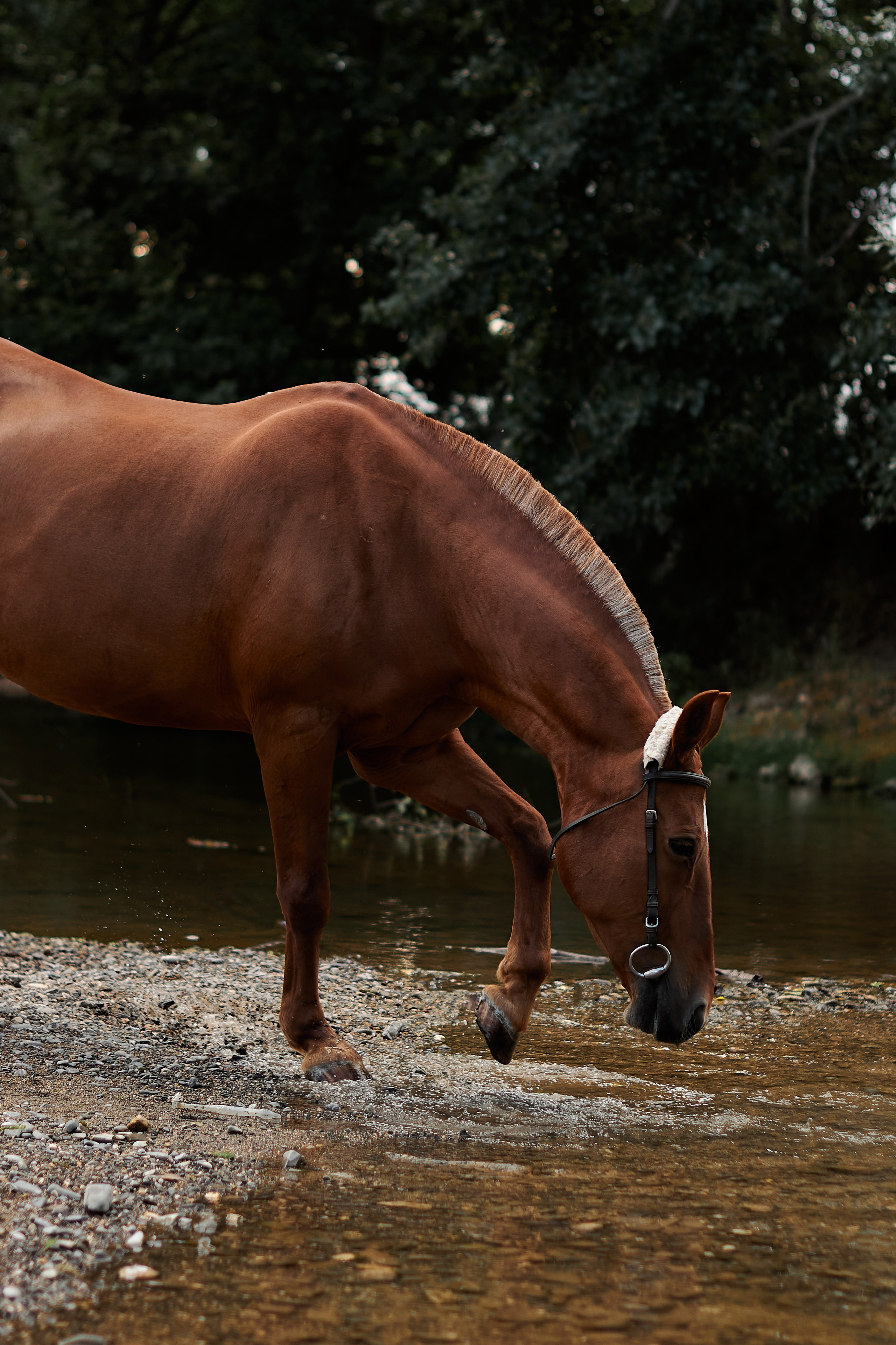 Касандра. Фотограф в Севастополе