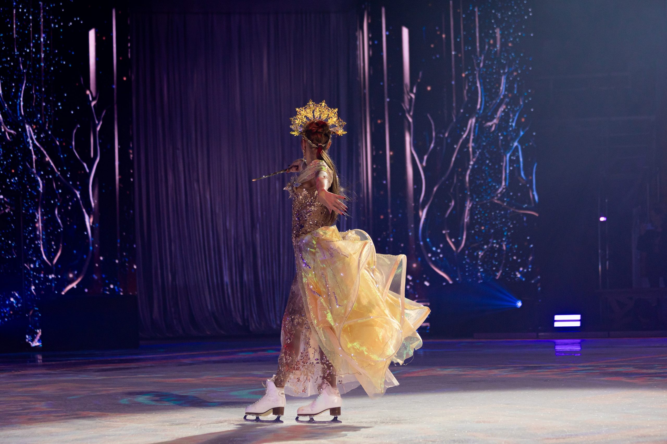 Ледовое шоу Татьяны Навки — «Золушка». Спортивный фотограф — Никита
