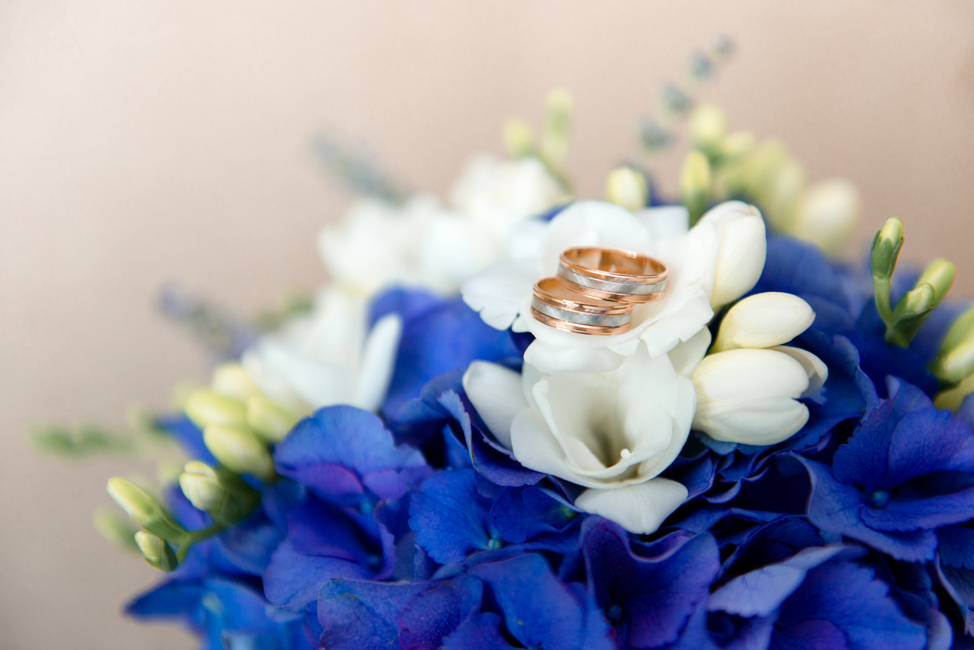 Свадебная фотография. Главная