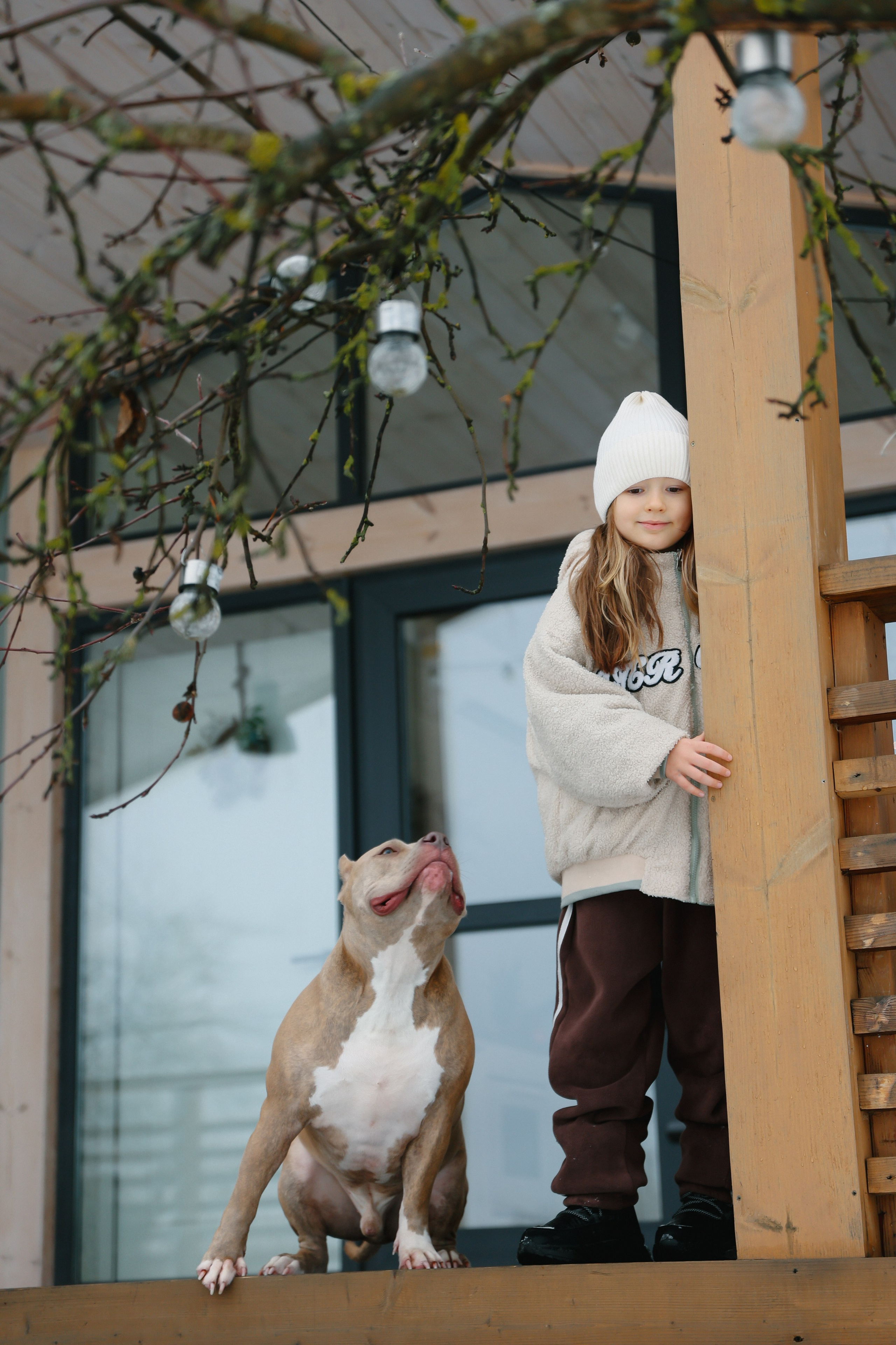 Dasha. Главная