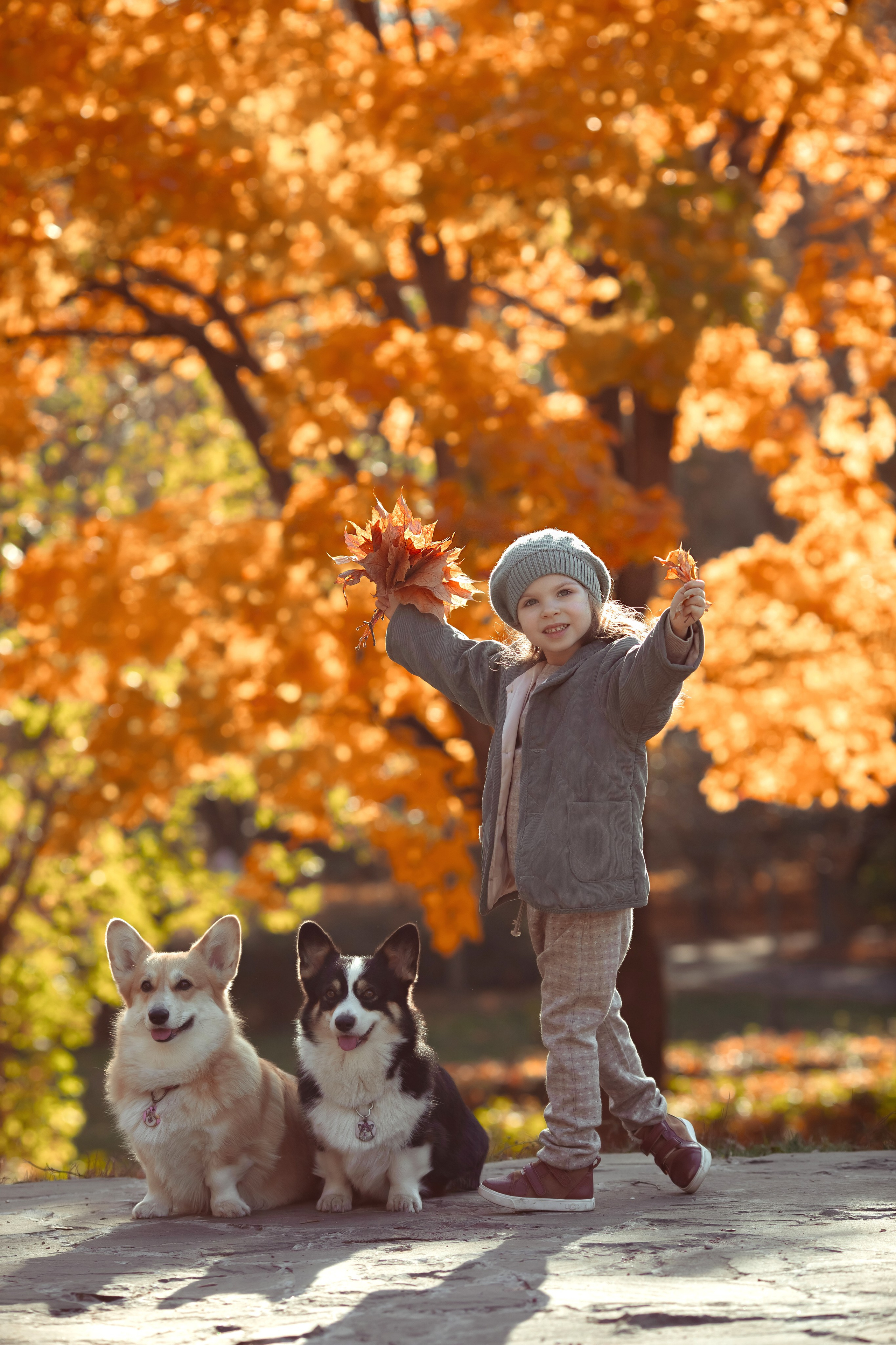 Эва с корги. Семейный и детский фотограф в Москве Дорогова Екатерина