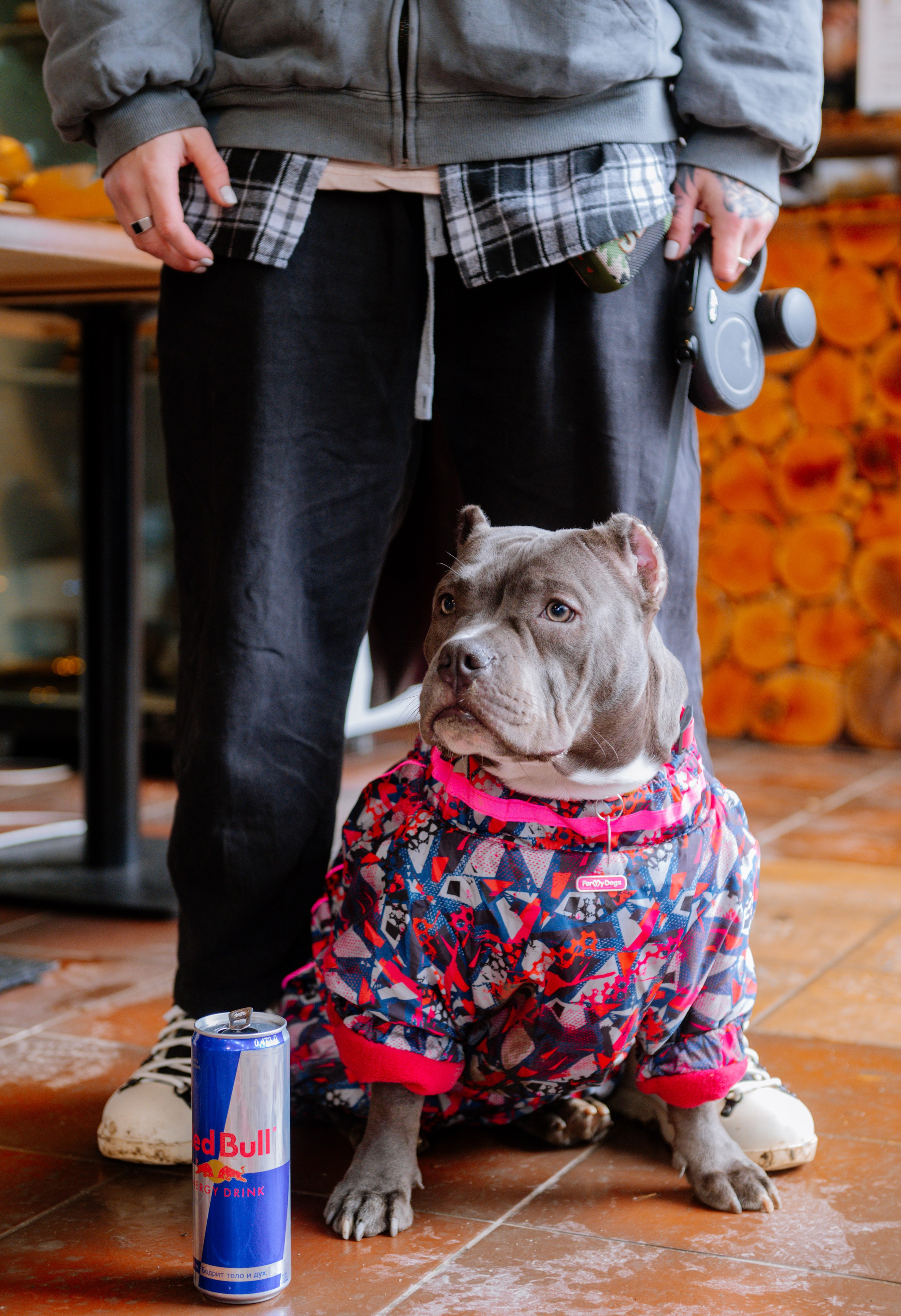 Funk and Beats. Архыз 24. Сайт фотографа Данилы Пащенко