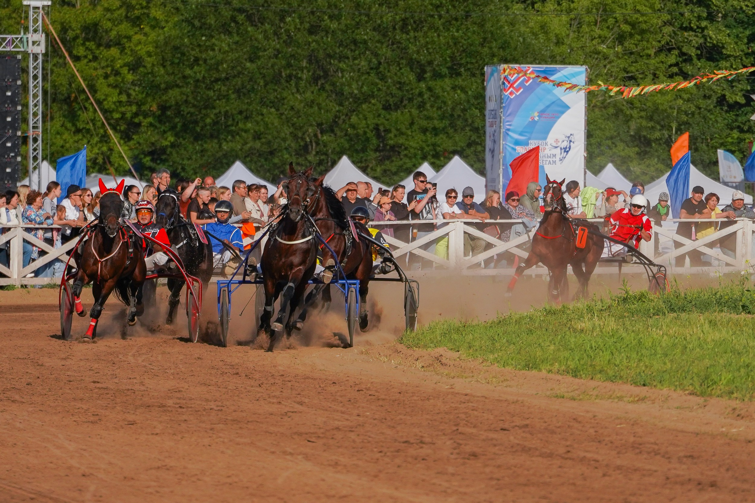 III конные бега на Кубок Главы Чувашии. Фотограф-анималист, портретный фотограф в Чебоксарах Мария Садыкова