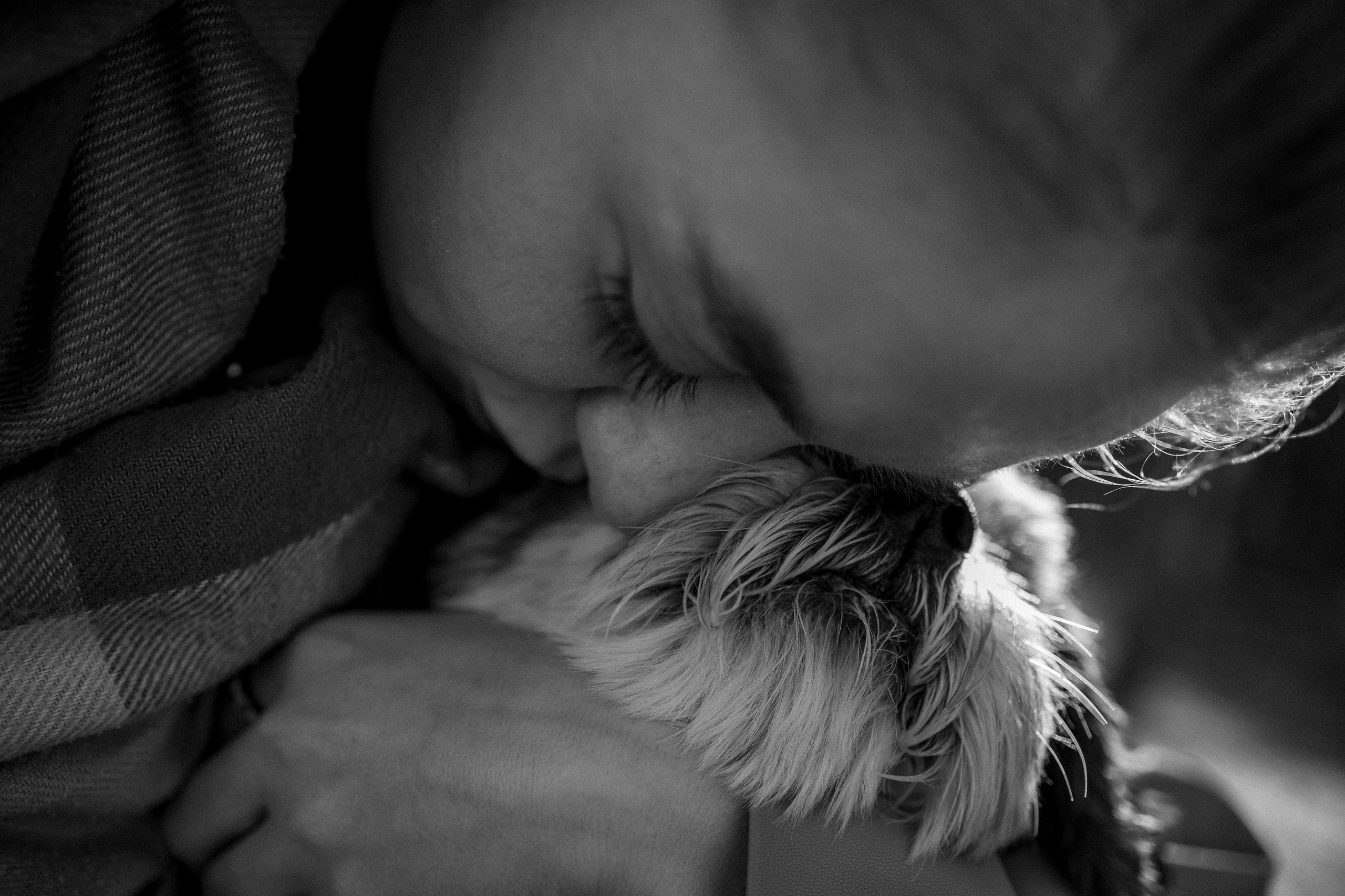 Настя и Франт. Фотограф — Анималист | Санкт-Петербург