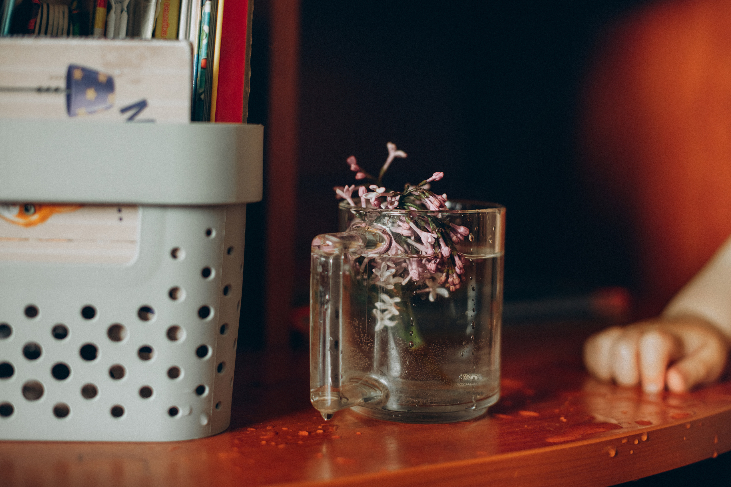 Кристина Вера. Семейный фотограф в Минске и РБ Стеликова Анна