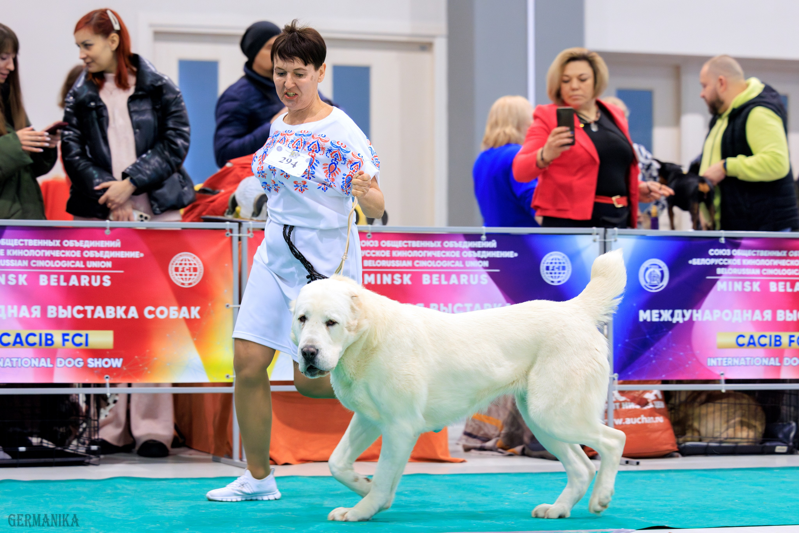Минск 24-25.02.2024. Фотограф-анималист Юлия Германика
