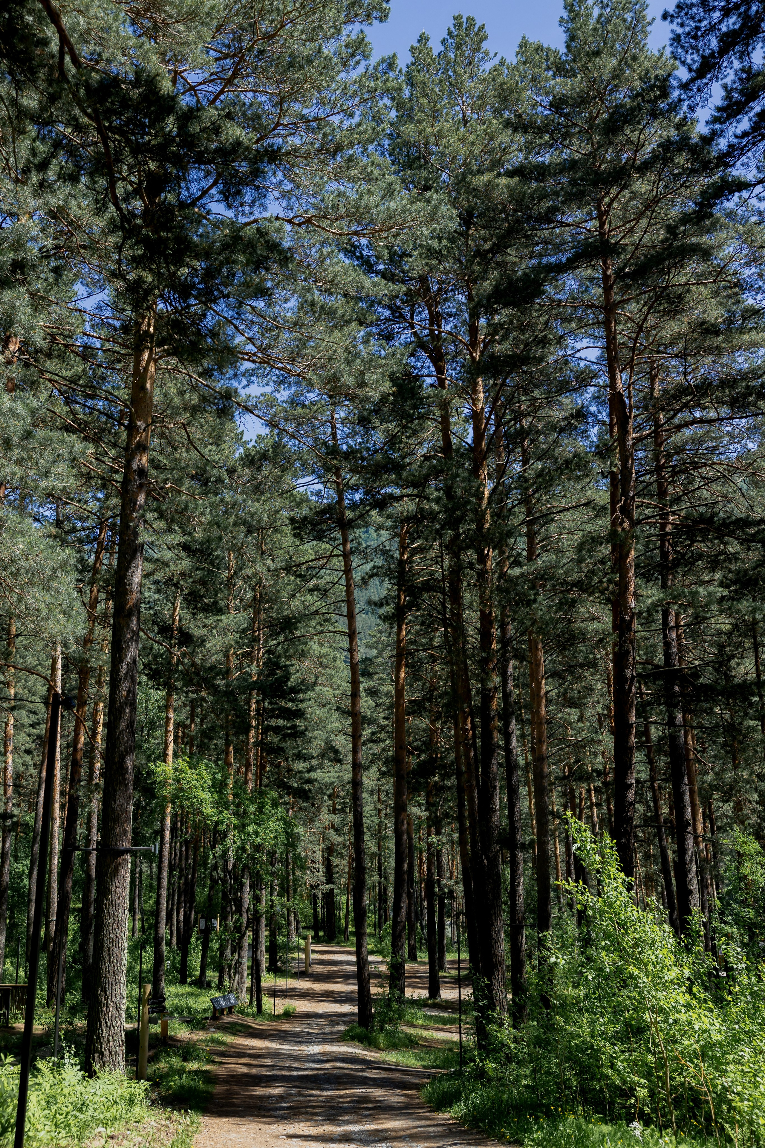 Алтай Бизнес-клуб «Новые Горизонты». Фотограф Москва Людмила Белова