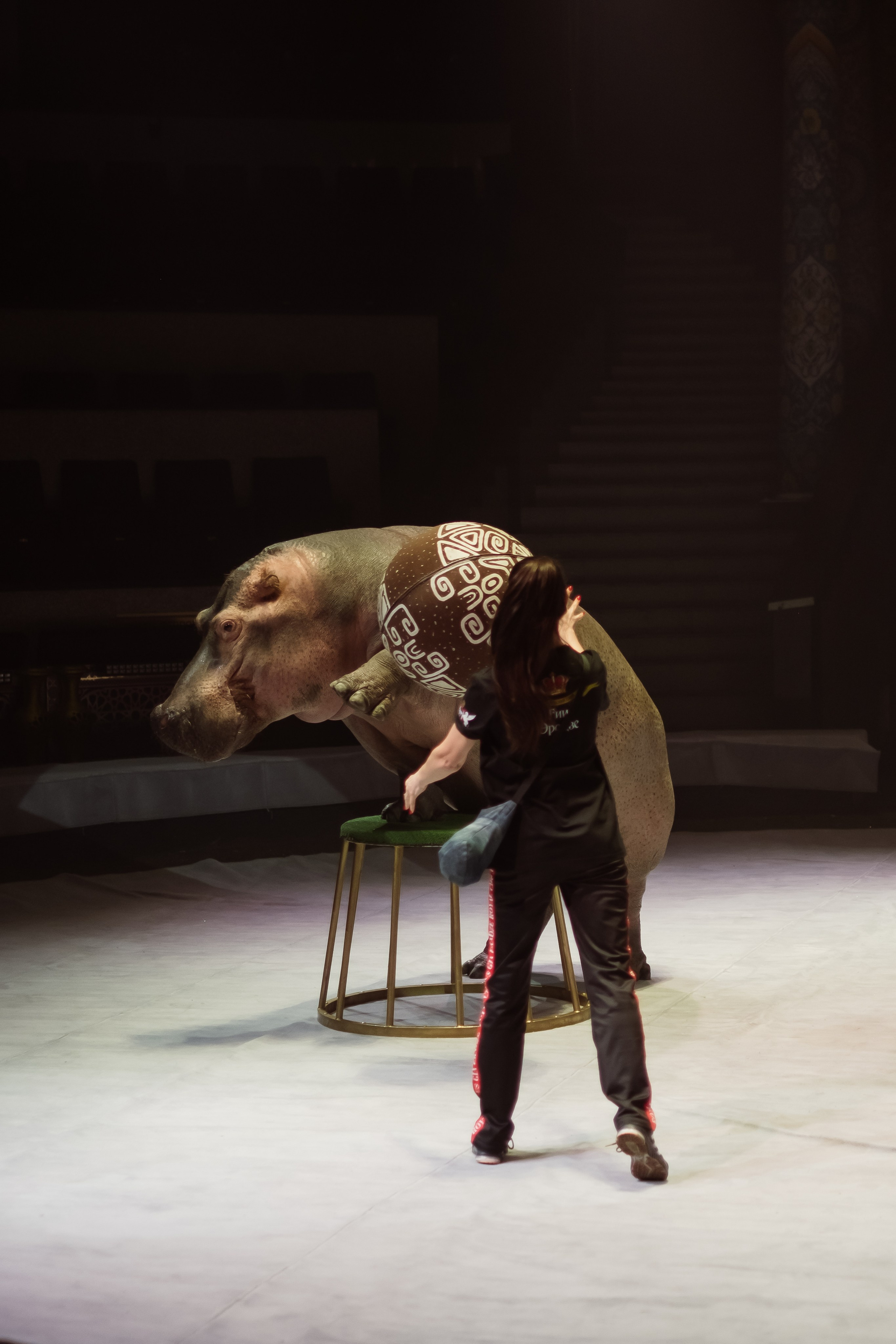 Репортаж. Фотограф Новосибирск Анна Рождественская