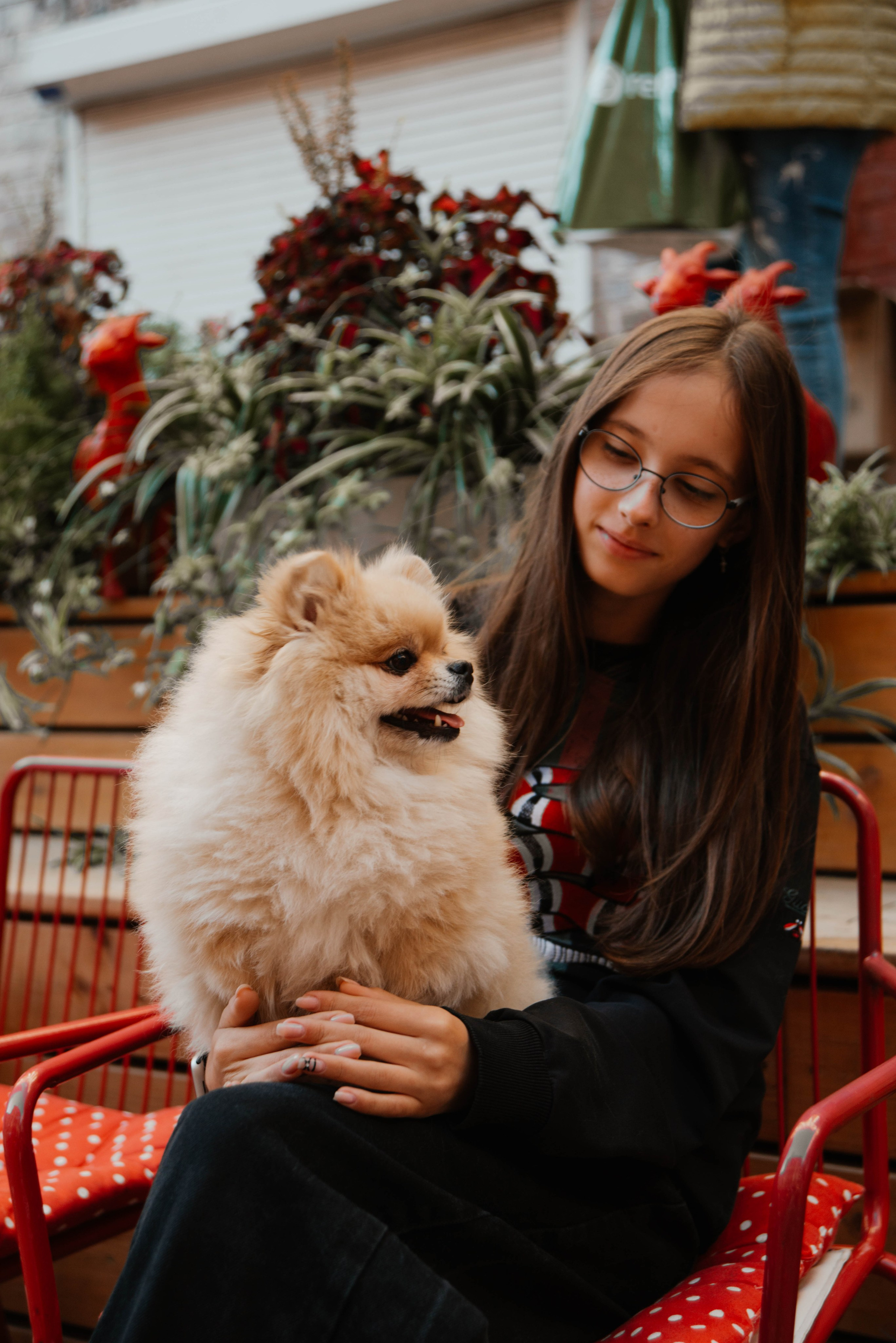 Дог-вечеринка на летнике «Кутёж». Ксения Glossa. Портретный и репортажный фотограф в Самаре