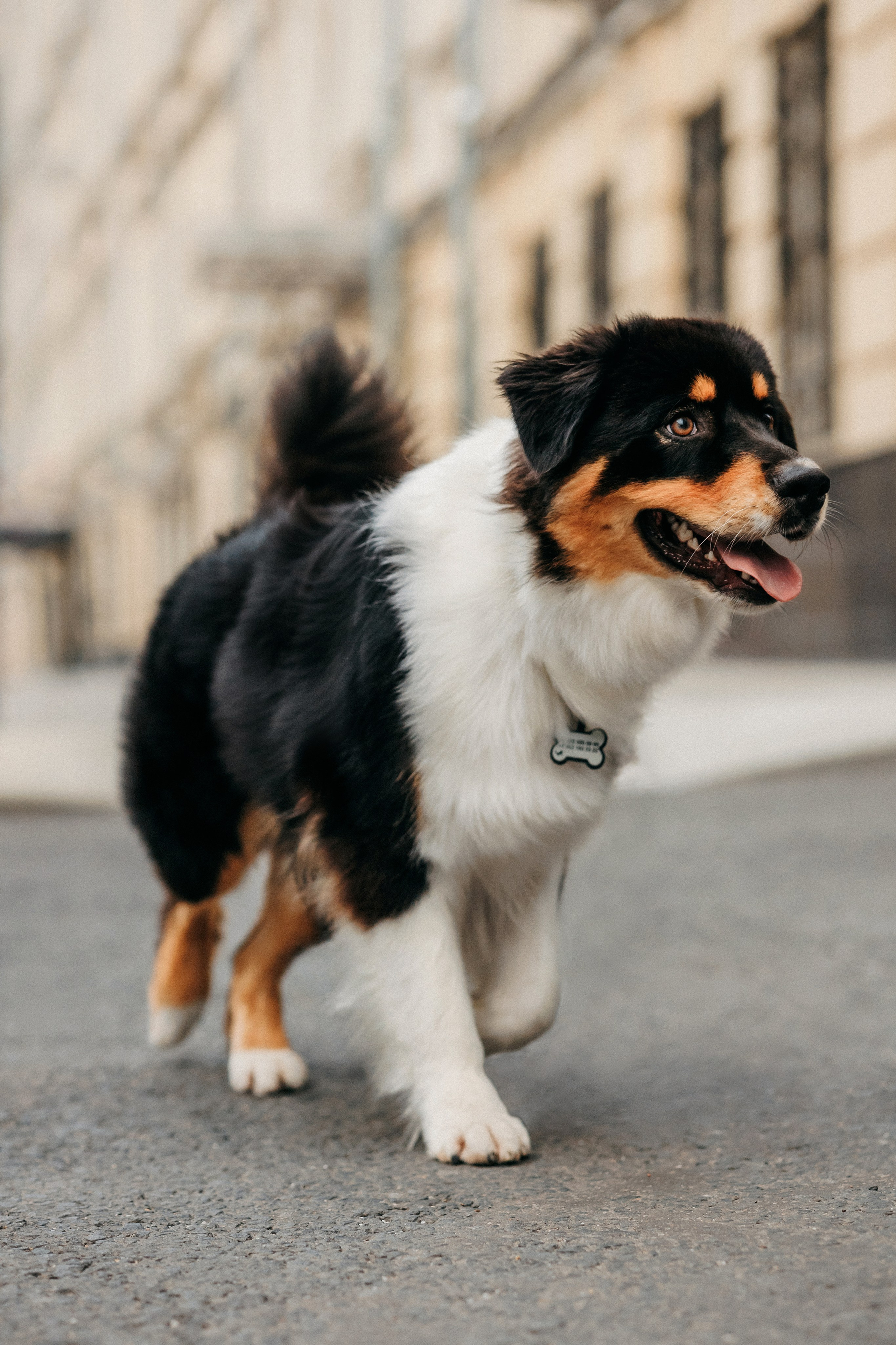 Лена и Рэй. Фотограф-анималист Елена Радченко, Москва