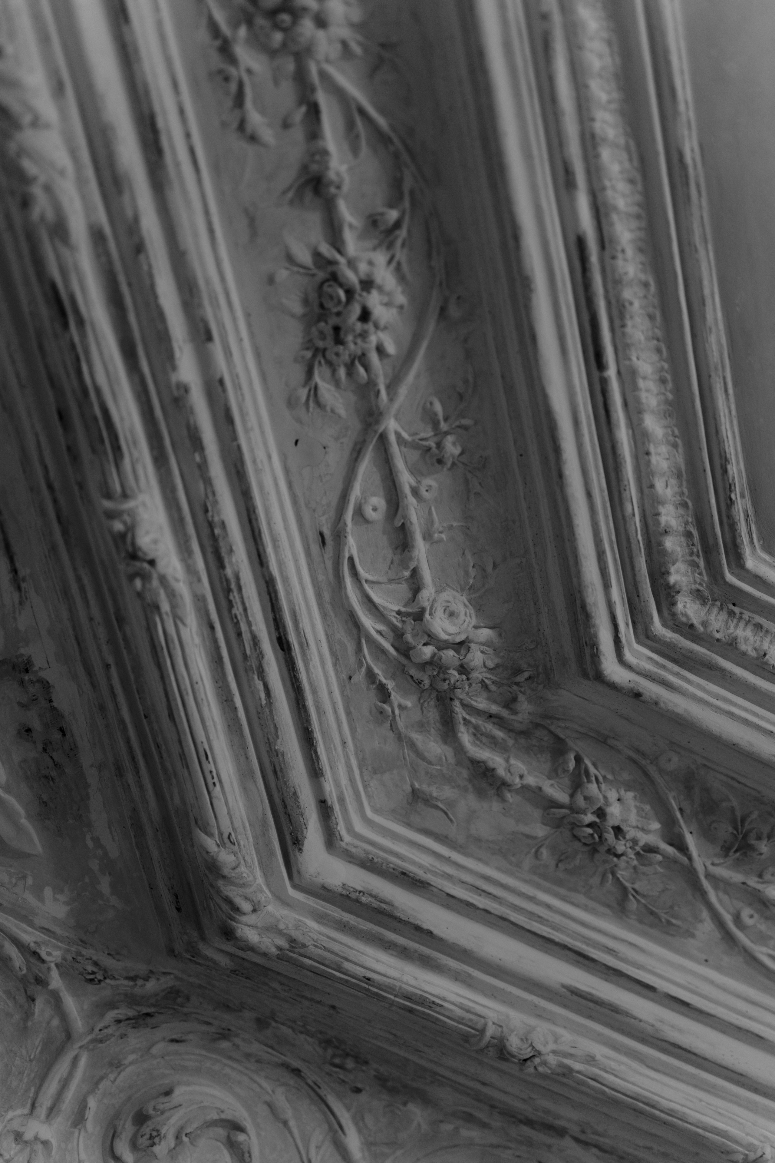 Свадьба Антона и Виктории. Фотограф Кольчугино/Владимир/Москва Елизавета Иода