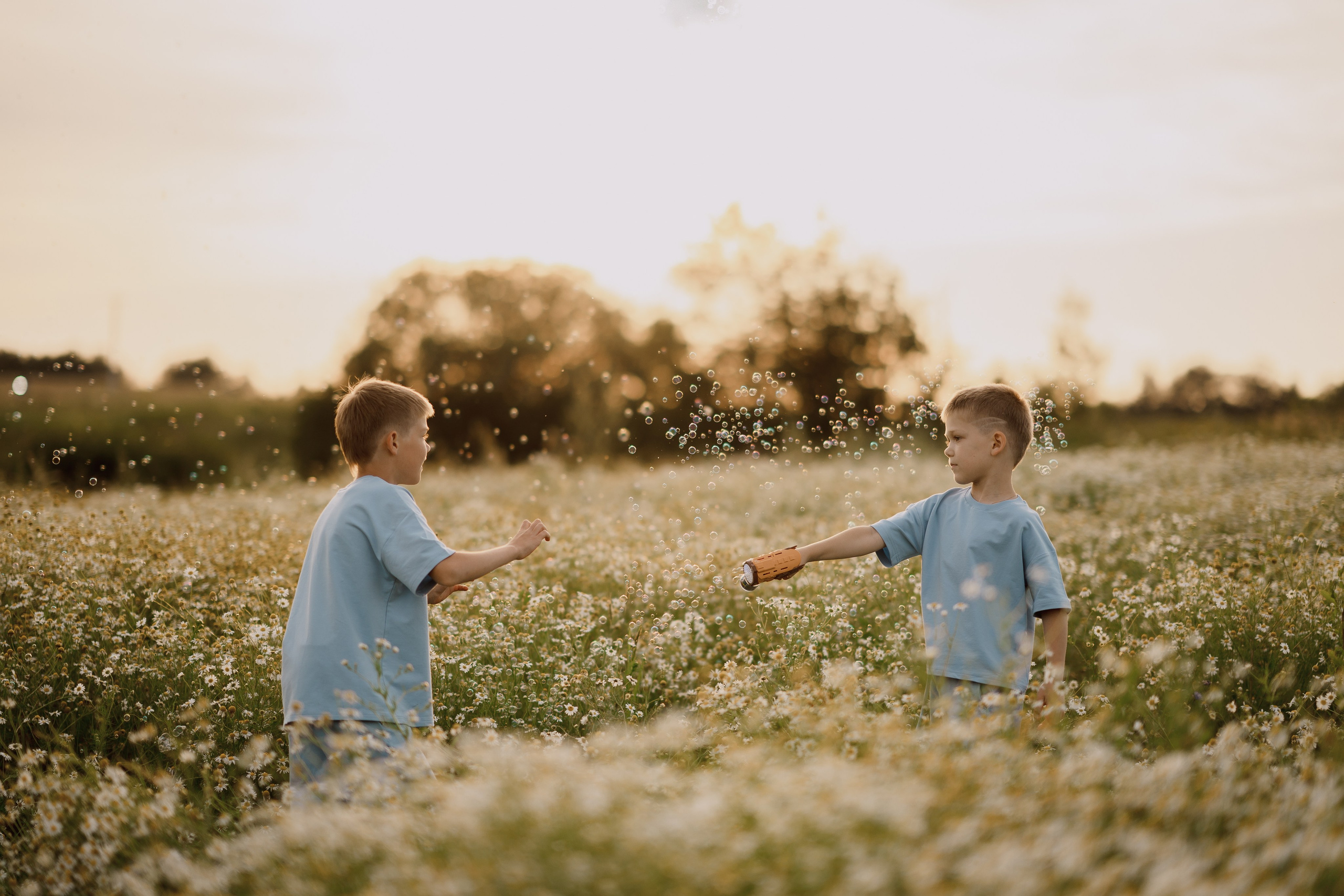 Ромашковое поле. Радонеж. Семейный и детский фотограф в Сергиев Посаде, Хотьково Якимчук Любовь