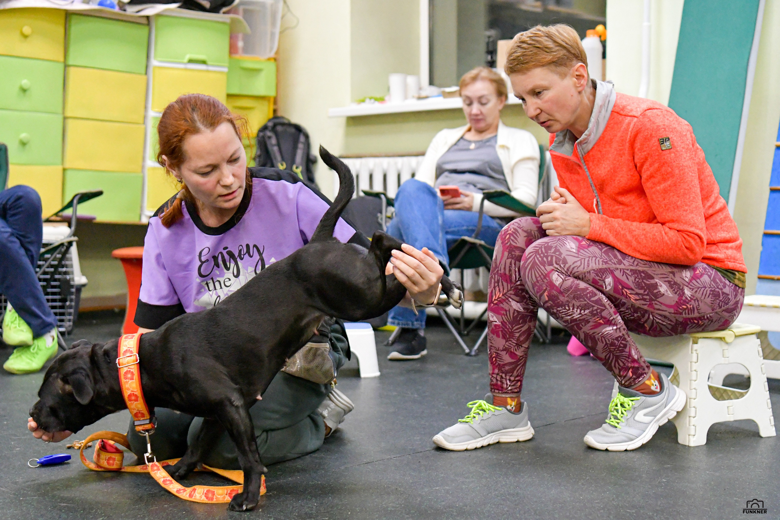 Кинологический клуб «Бодрый хвост». Свой взгляд через объектив