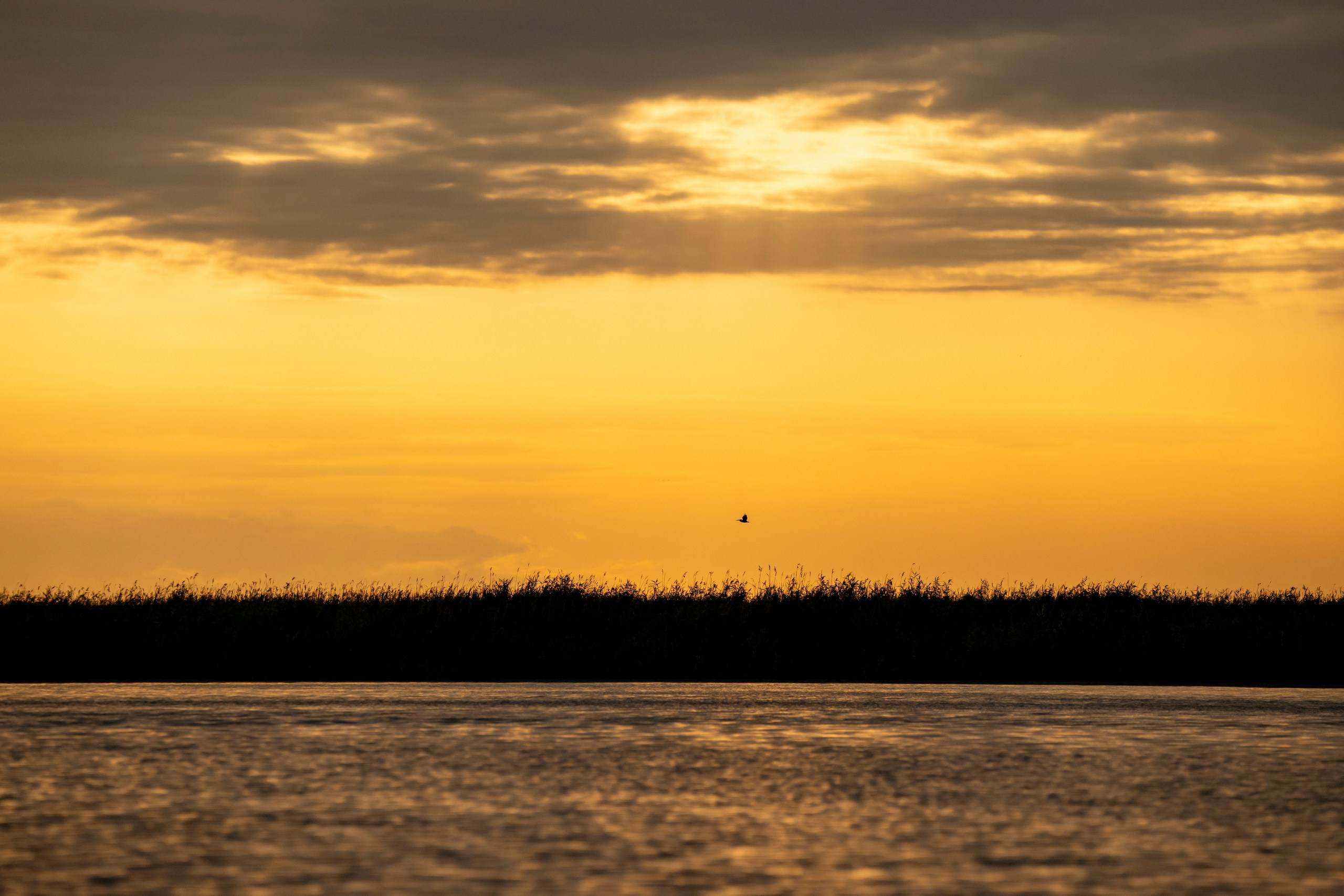 Природа Дагестана, сентябрь 2024. Foto-Zuev фотография как искусство