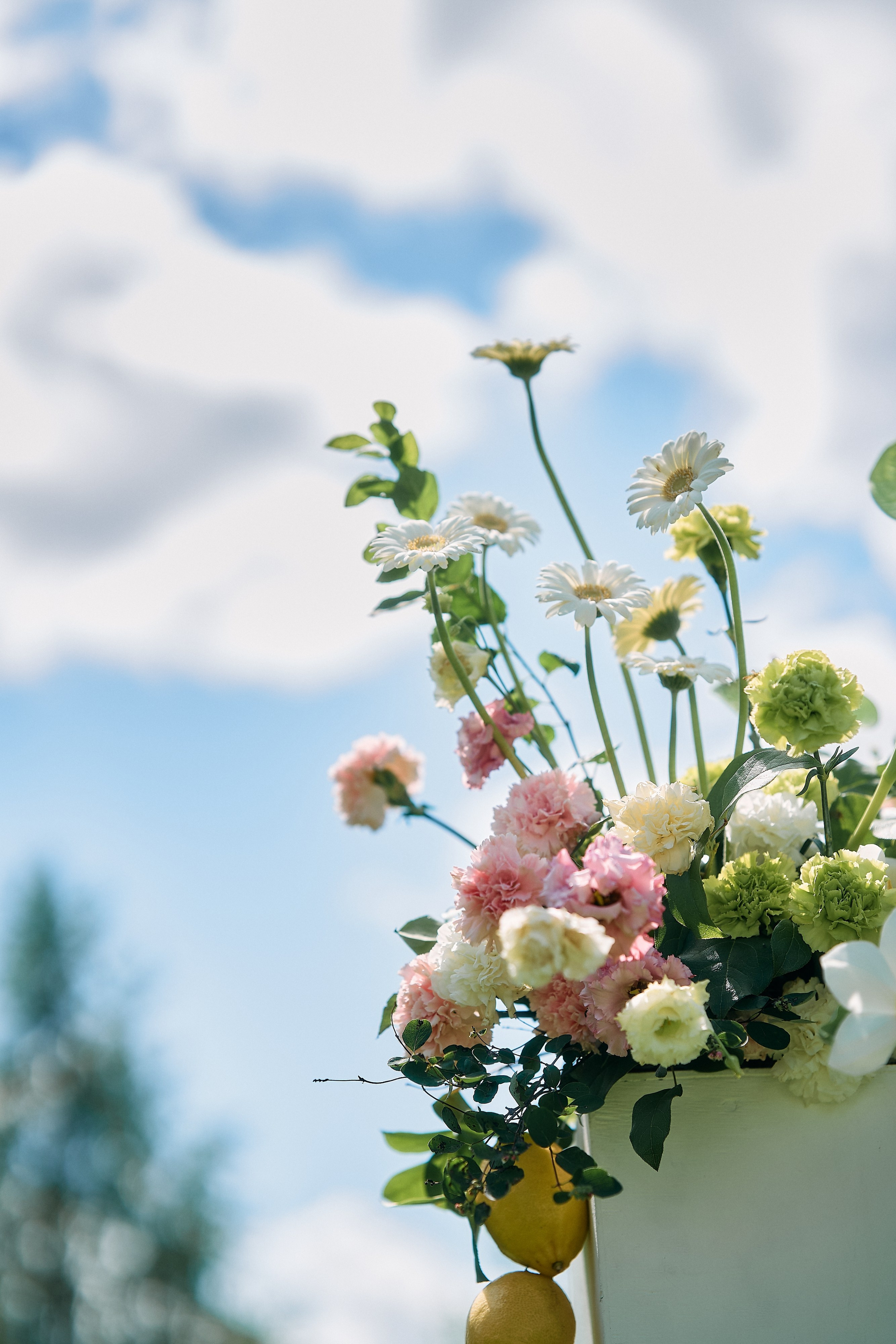 Виталий и Диана. Свадебный фотограф Минск РБ